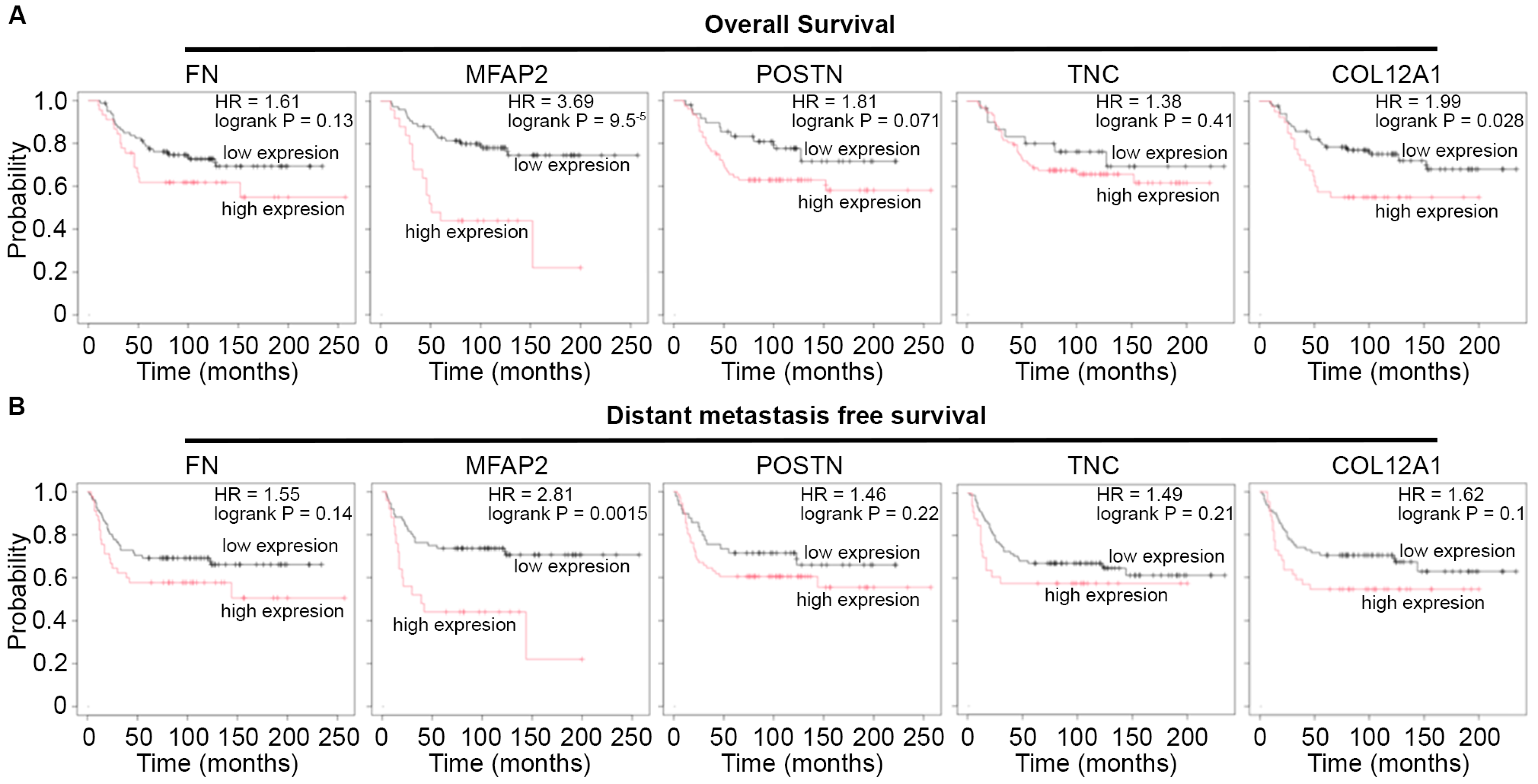 Evaluation of Metaplastic Triple-Negative Breast Cancer Extracellular ...