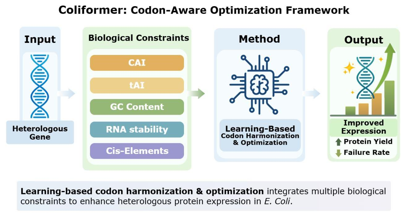 ColiFormer: A Transformer-Based Codon Optimization Model Balancing ...