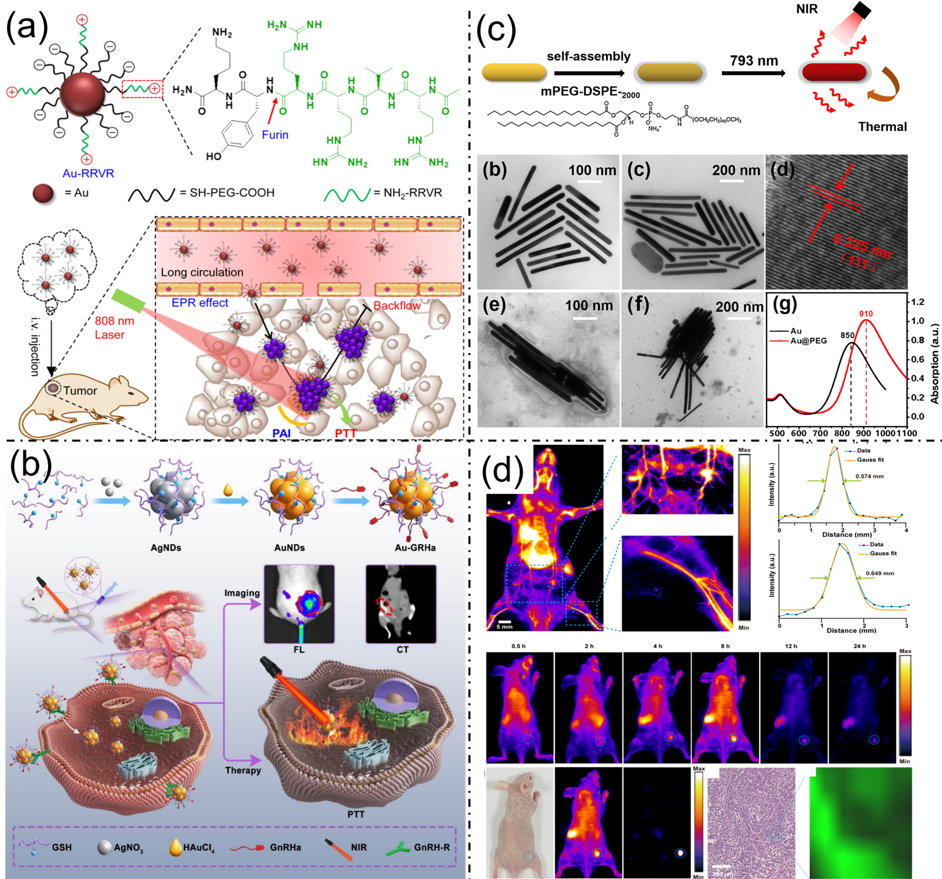 Nanoplatforms for Multimodal Imaging and Targeted Cancer Therapy ...