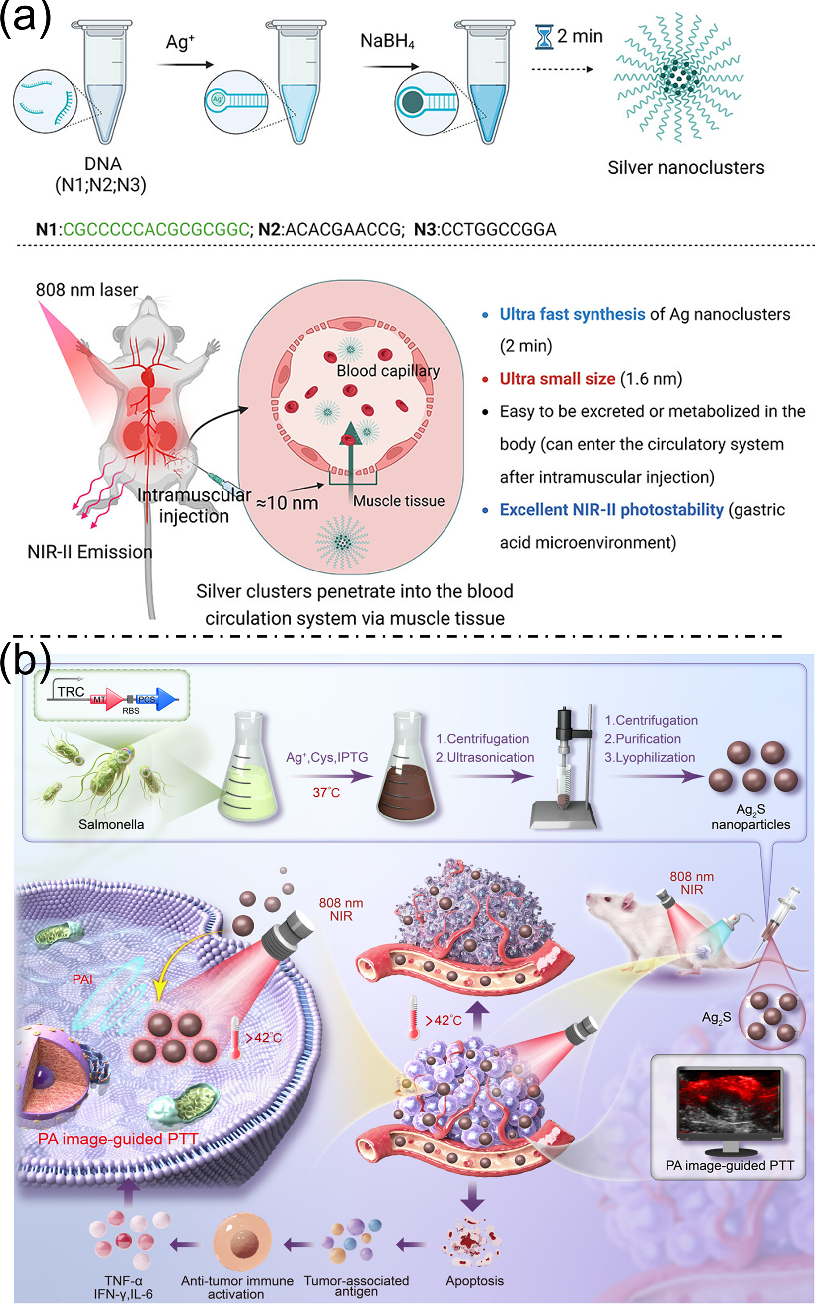 Nanoplatforms for Multimodal Imaging and Targeted Cancer Therapy ...