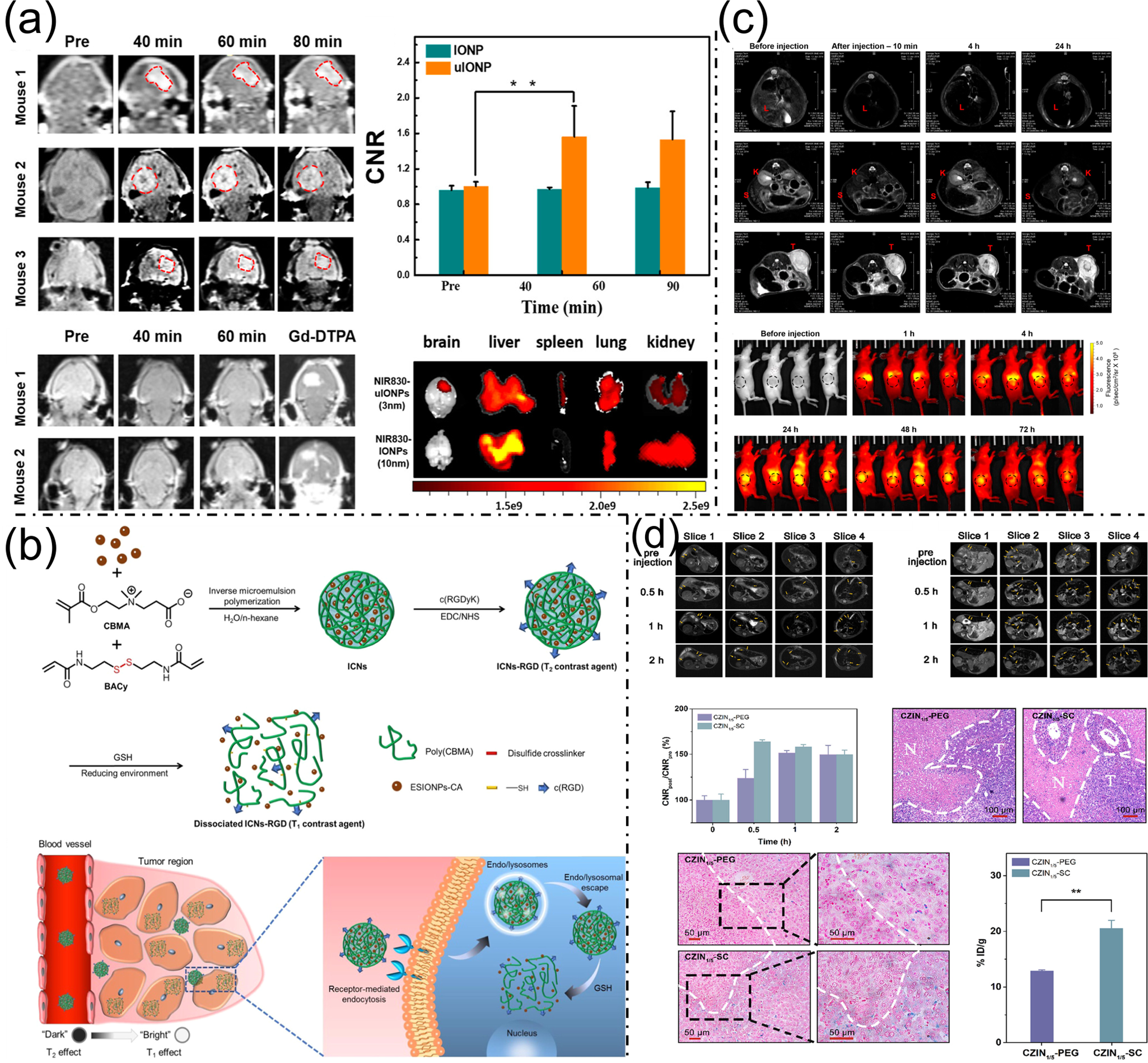 Nanoplatforms for Multimodal Imaging and Targeted Cancer Therapy ...