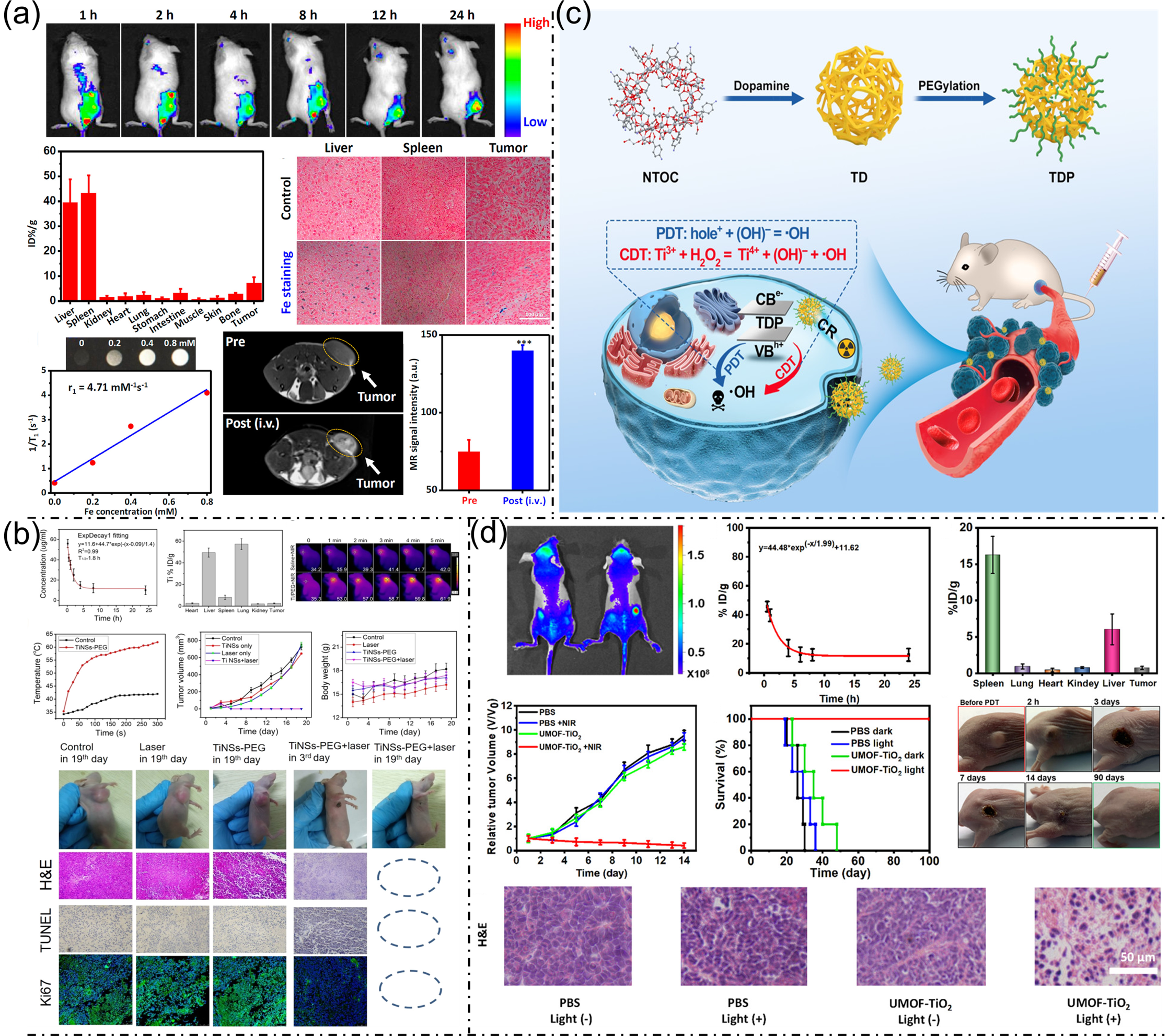Nanoplatforms for Multimodal Imaging and Targeted Cancer Therapy ...
