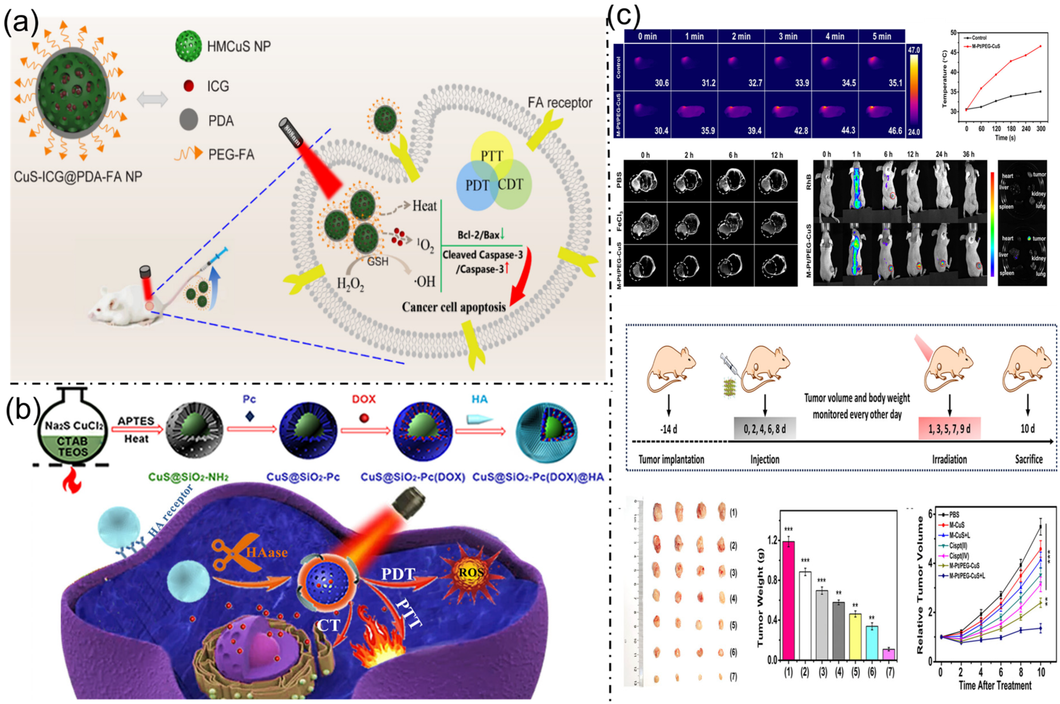 Nanoplatforms for Multimodal Imaging and Targeted Cancer Therapy ...