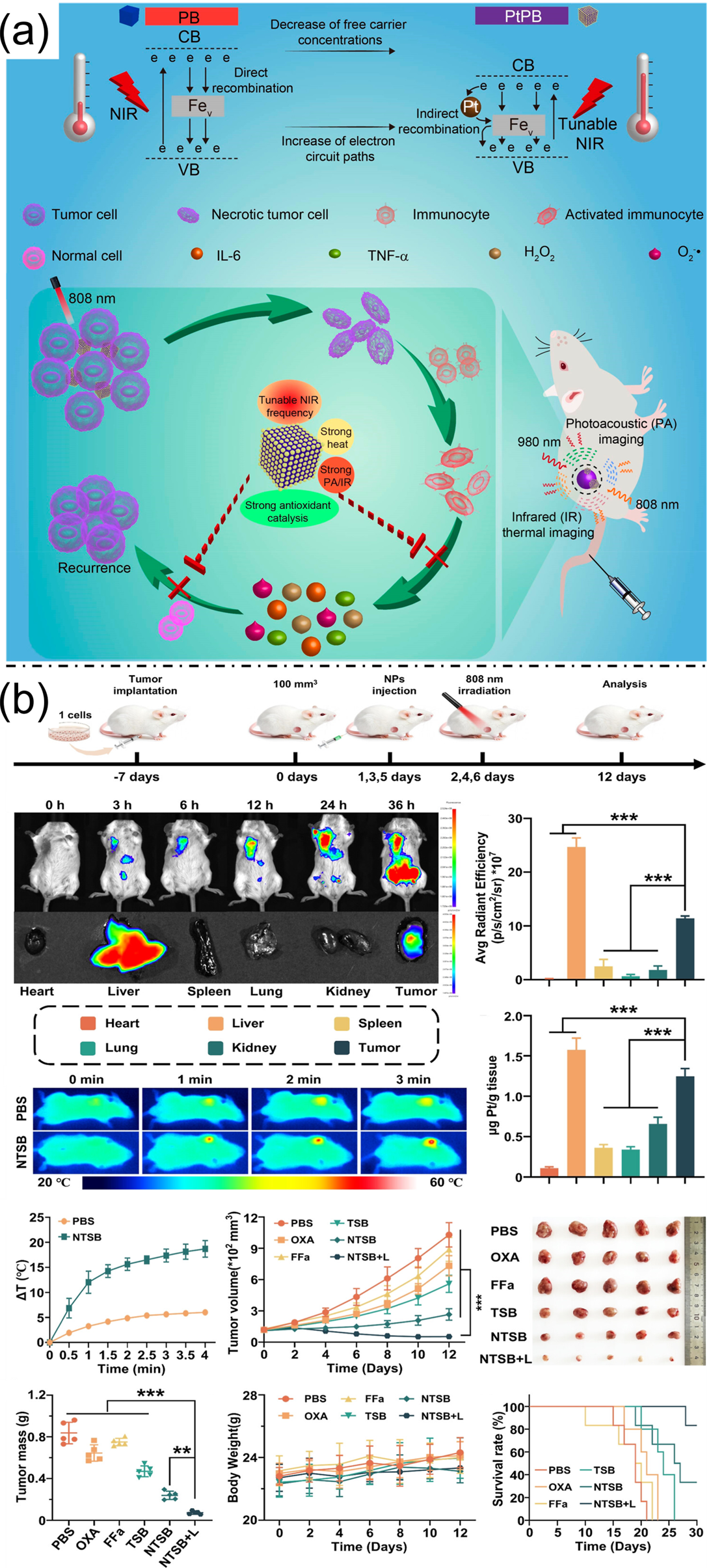 Nanoplatforms for Multimodal Imaging and Targeted Cancer Therapy ...