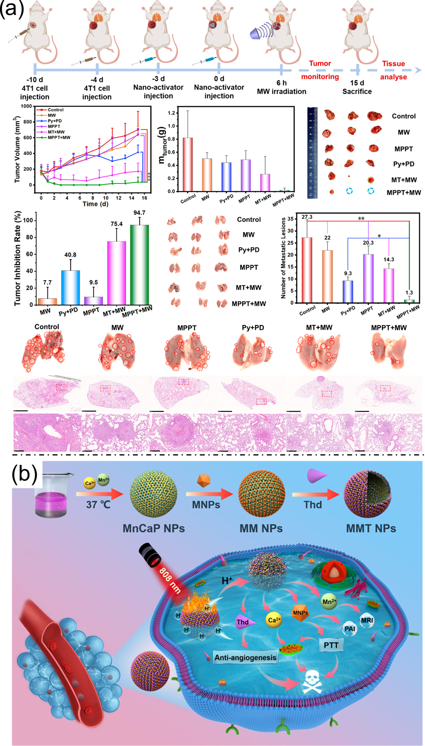 Nanoplatforms for Multimodal Imaging and Targeted Cancer Therapy ...