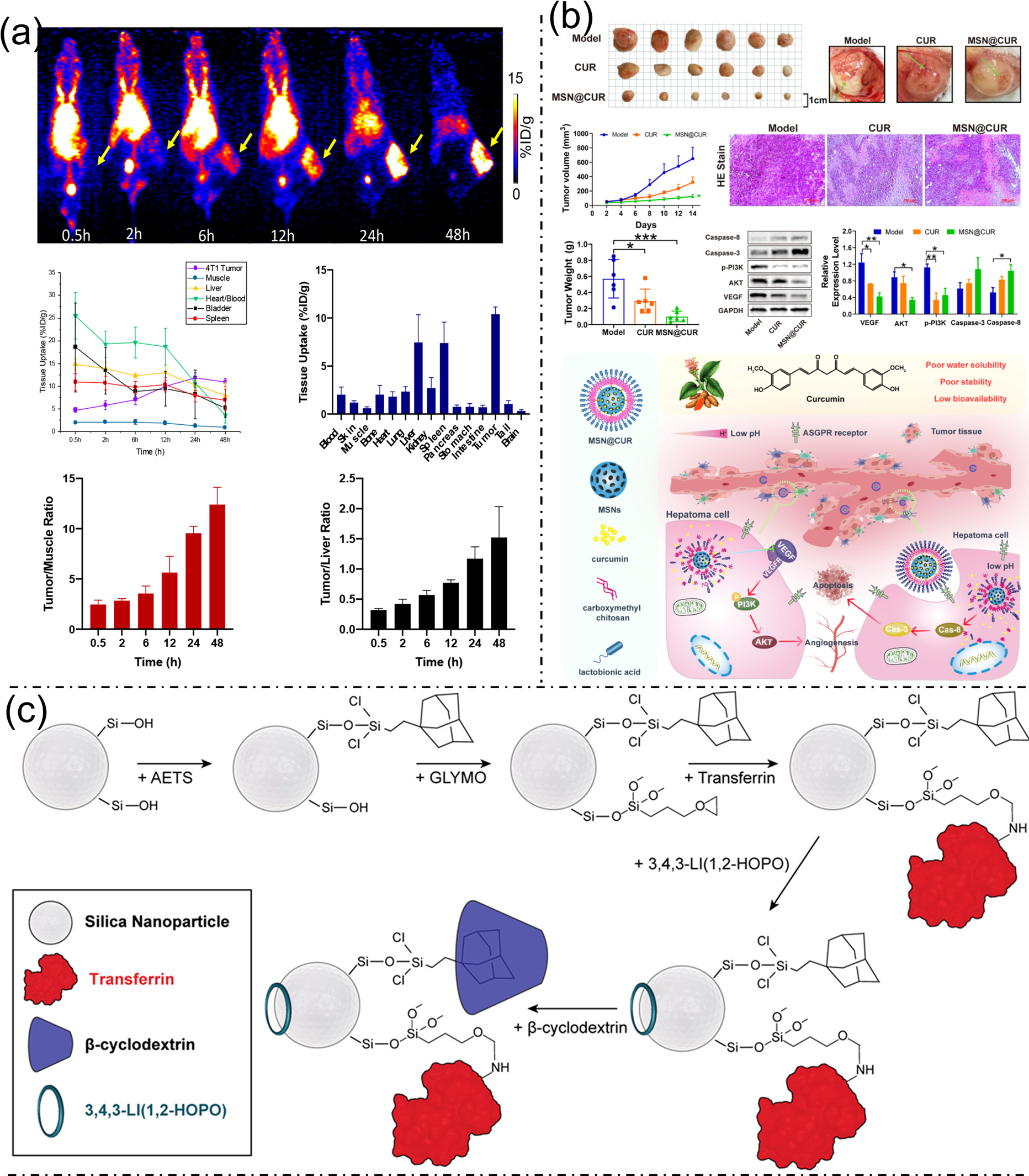 Nanoplatforms for Multimodal Imaging and Targeted Cancer Therapy ...