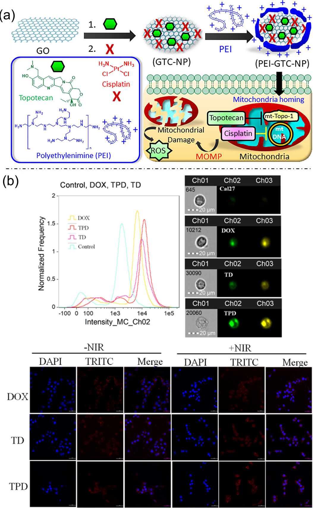 Nanoplatforms for Multimodal Imaging and Targeted Cancer Therapy ...