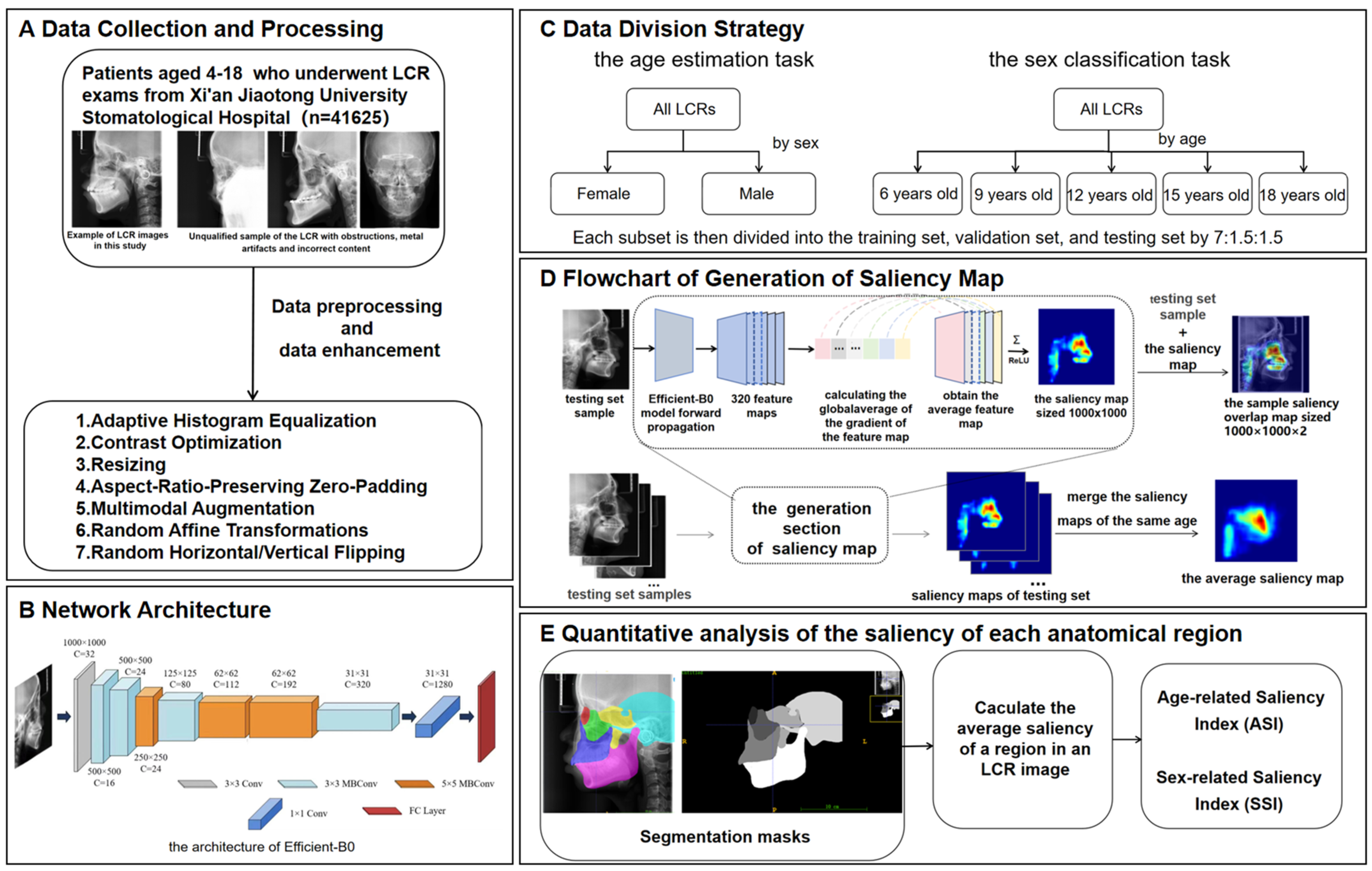 Quantification of Craniofacial Growth Pattern Based on Deep Learning