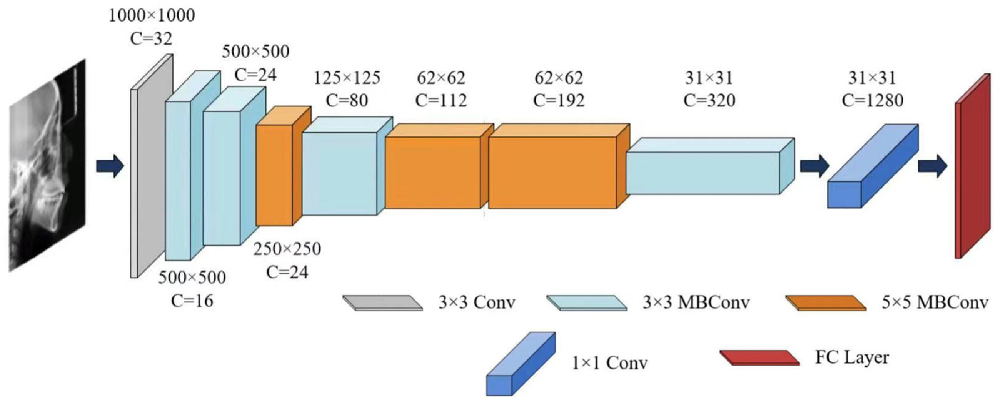 Quantification of Craniofacial Growth Pattern Based on Deep Learning