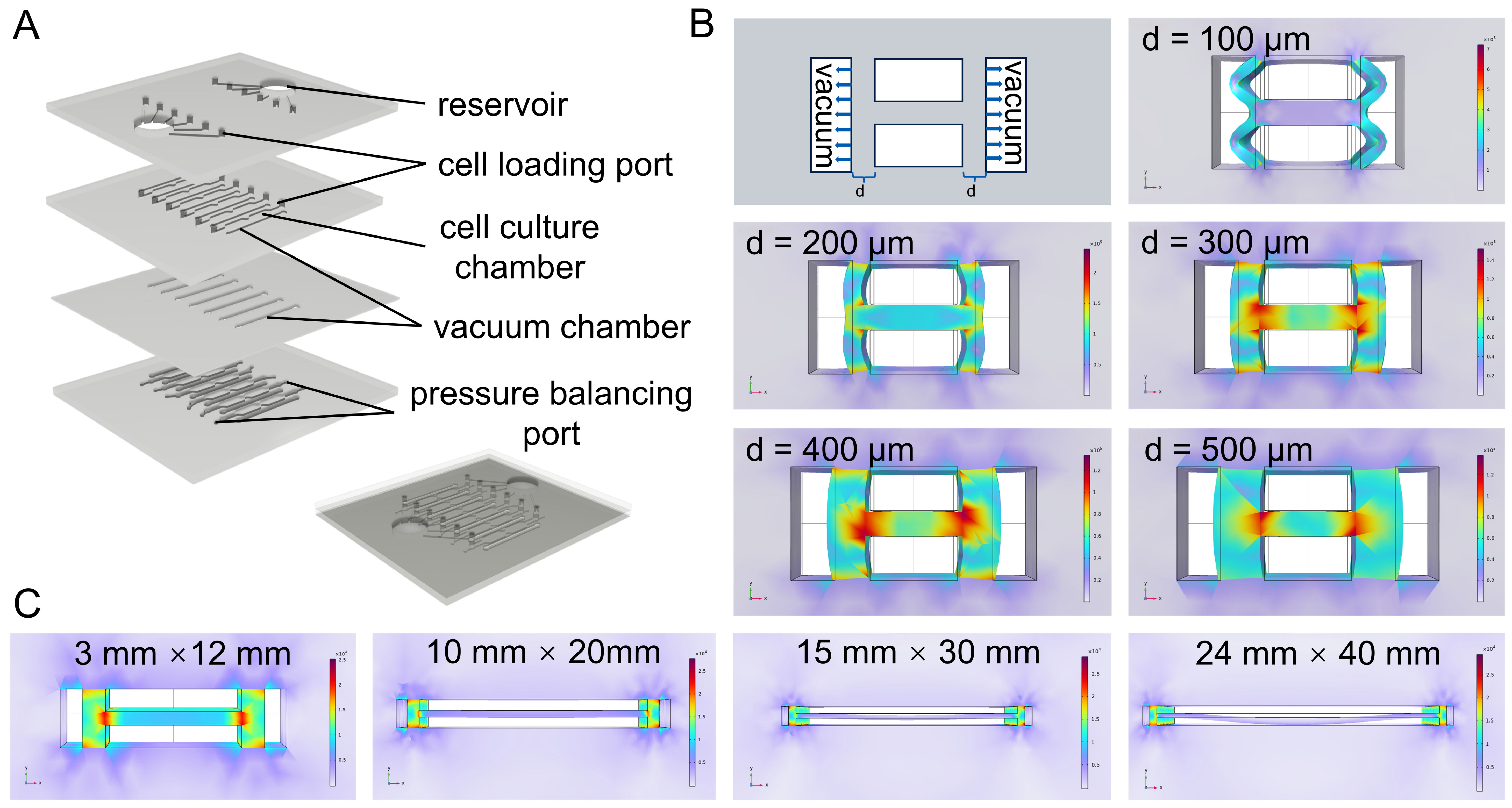 Engineering a Quantitative Organ-on-a-Chip Platform for Myogenic ...