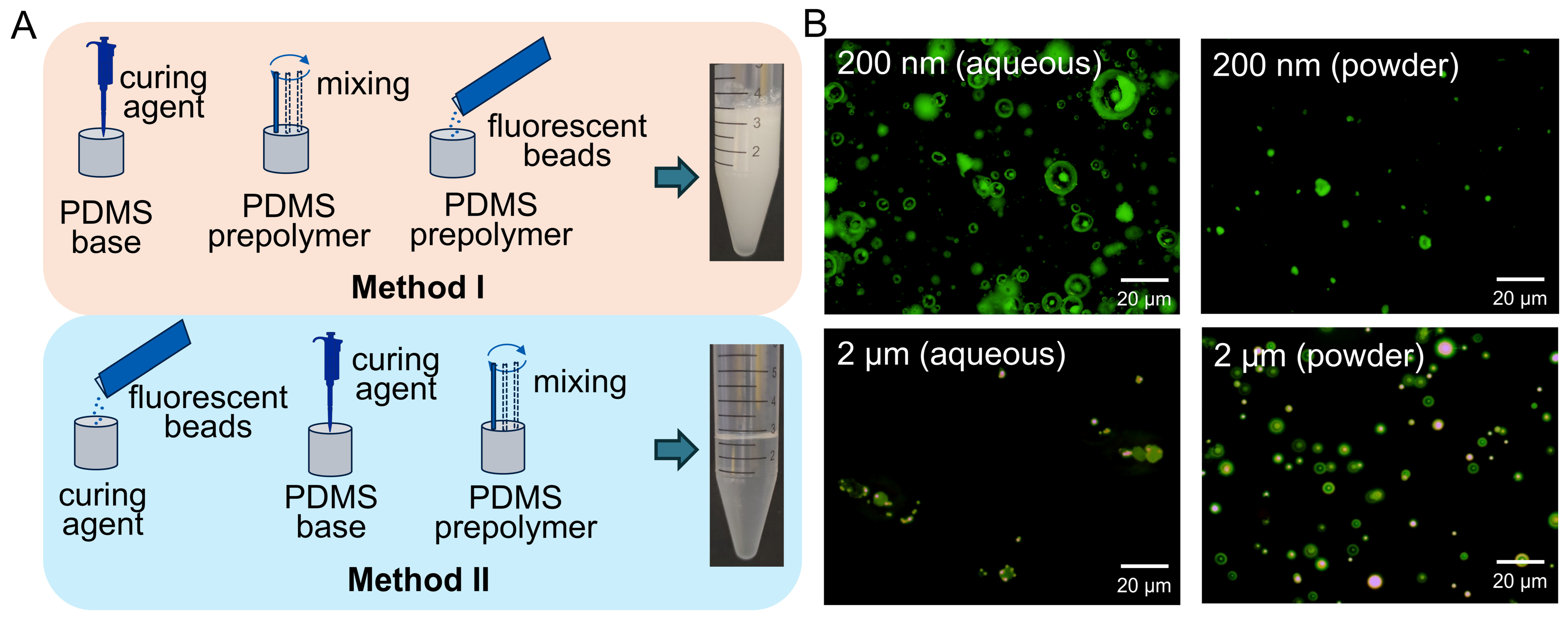 Engineering a Quantitative Organ-on-a-Chip Platform for Myogenic ...