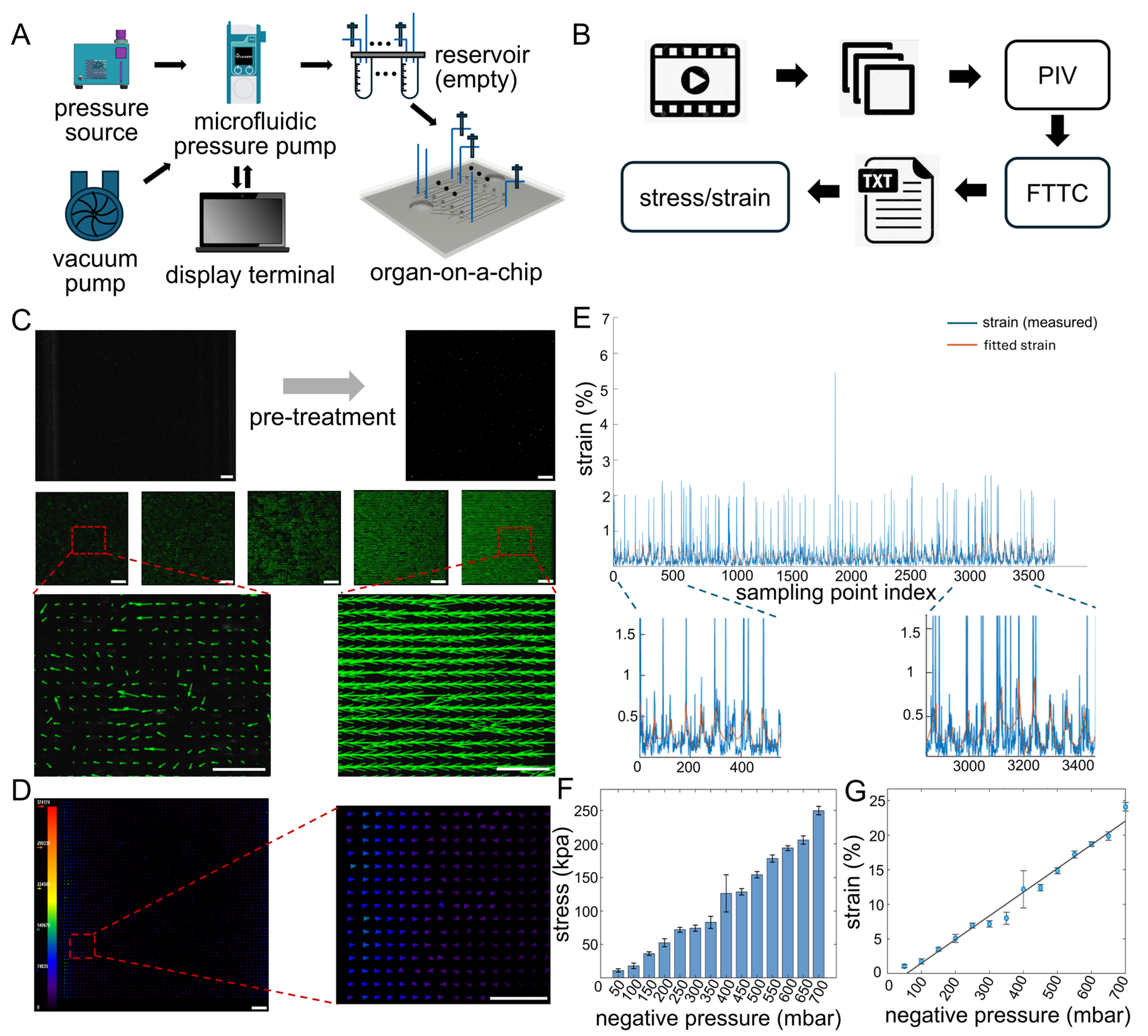 Engineering a Quantitative Organ-on-a-Chip Platform for Myogenic ...