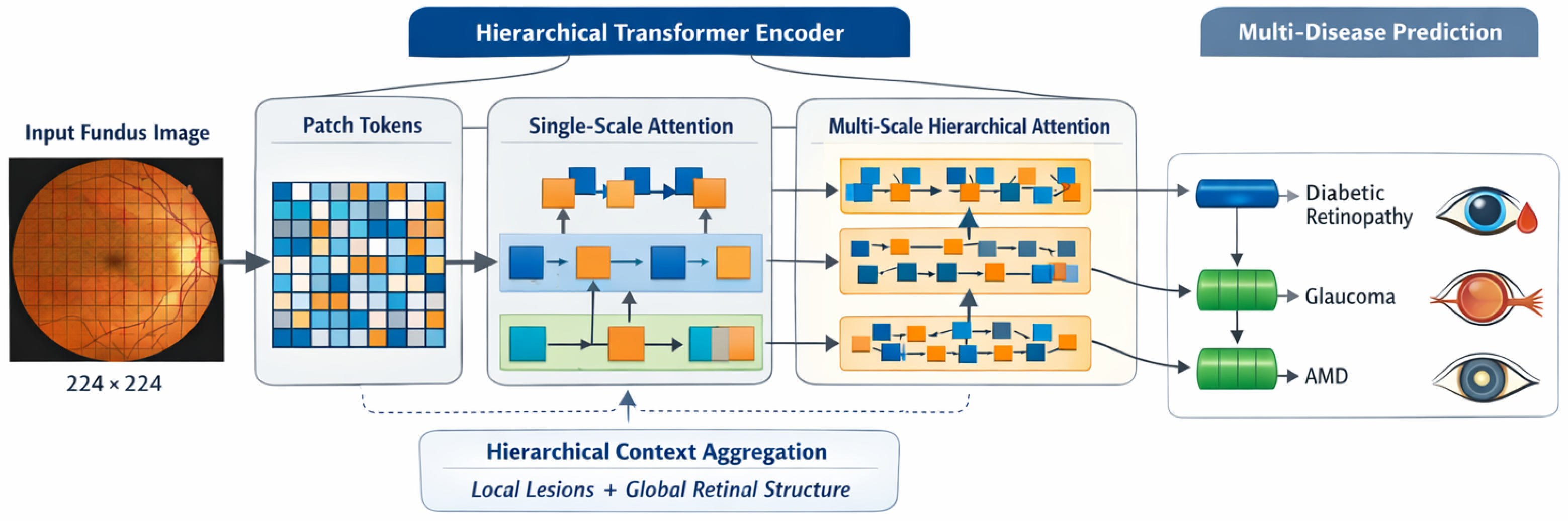 Transformer-Based Deep Learning for Population-Scale Retinal Image ...