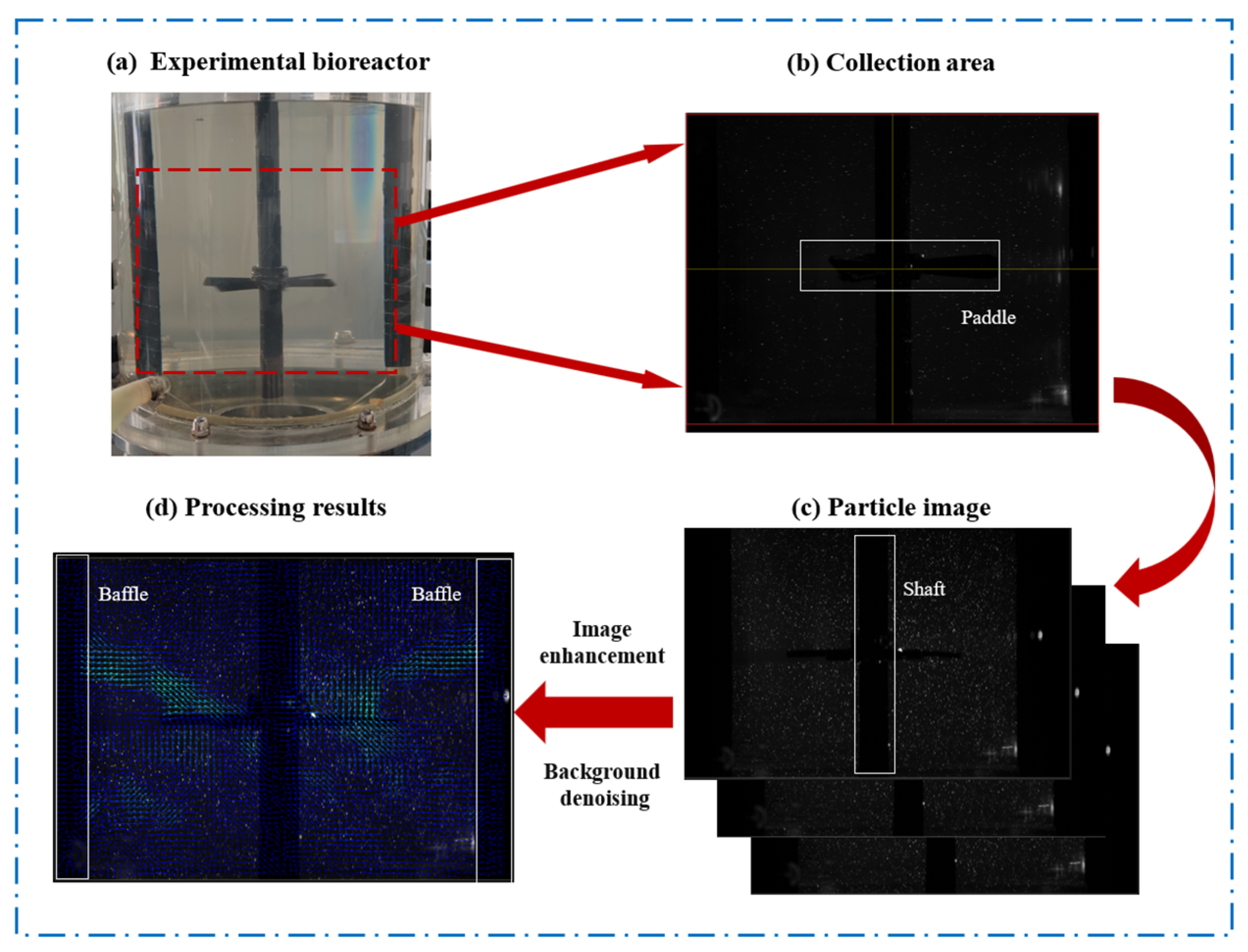 Investigation of Flow Characteristics in a Stirred-Tank Bioreactor with ...