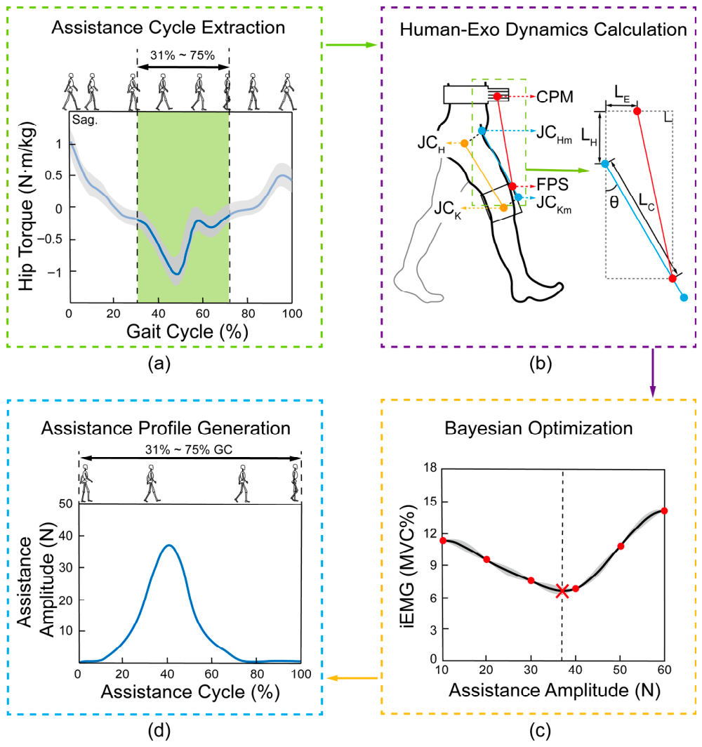 Optimization of Exoskeleton Assistance Function Based on Physics-Guided ...