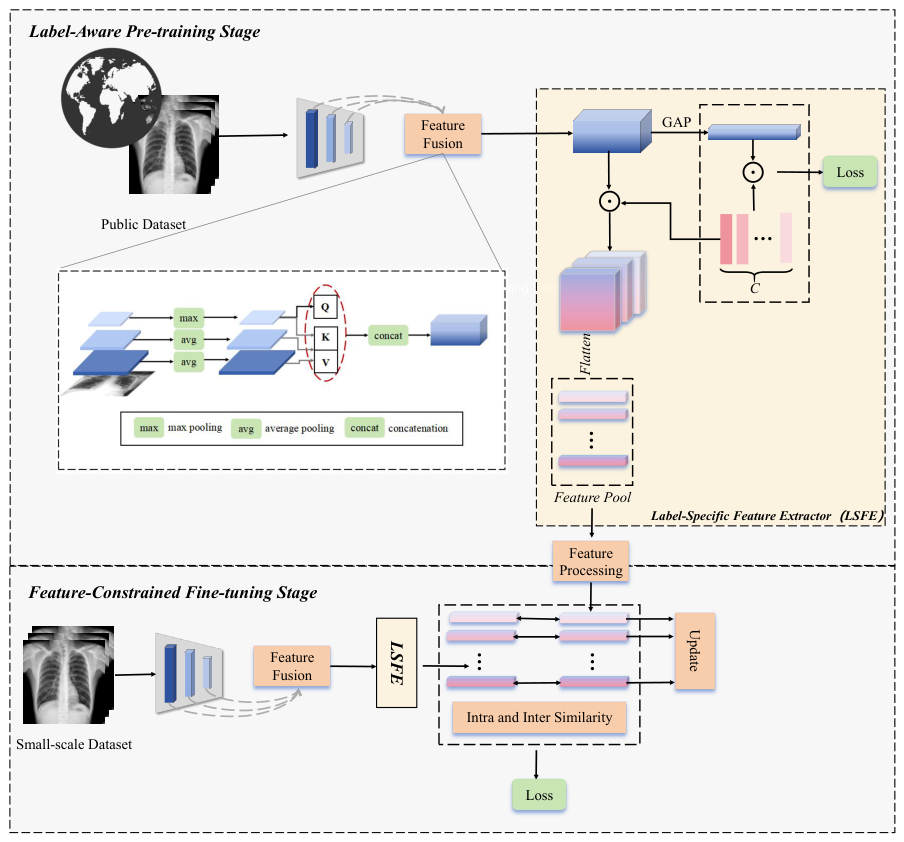 A Two-Stage Contrastive Learning Framework Grounded in Label-Specific ...