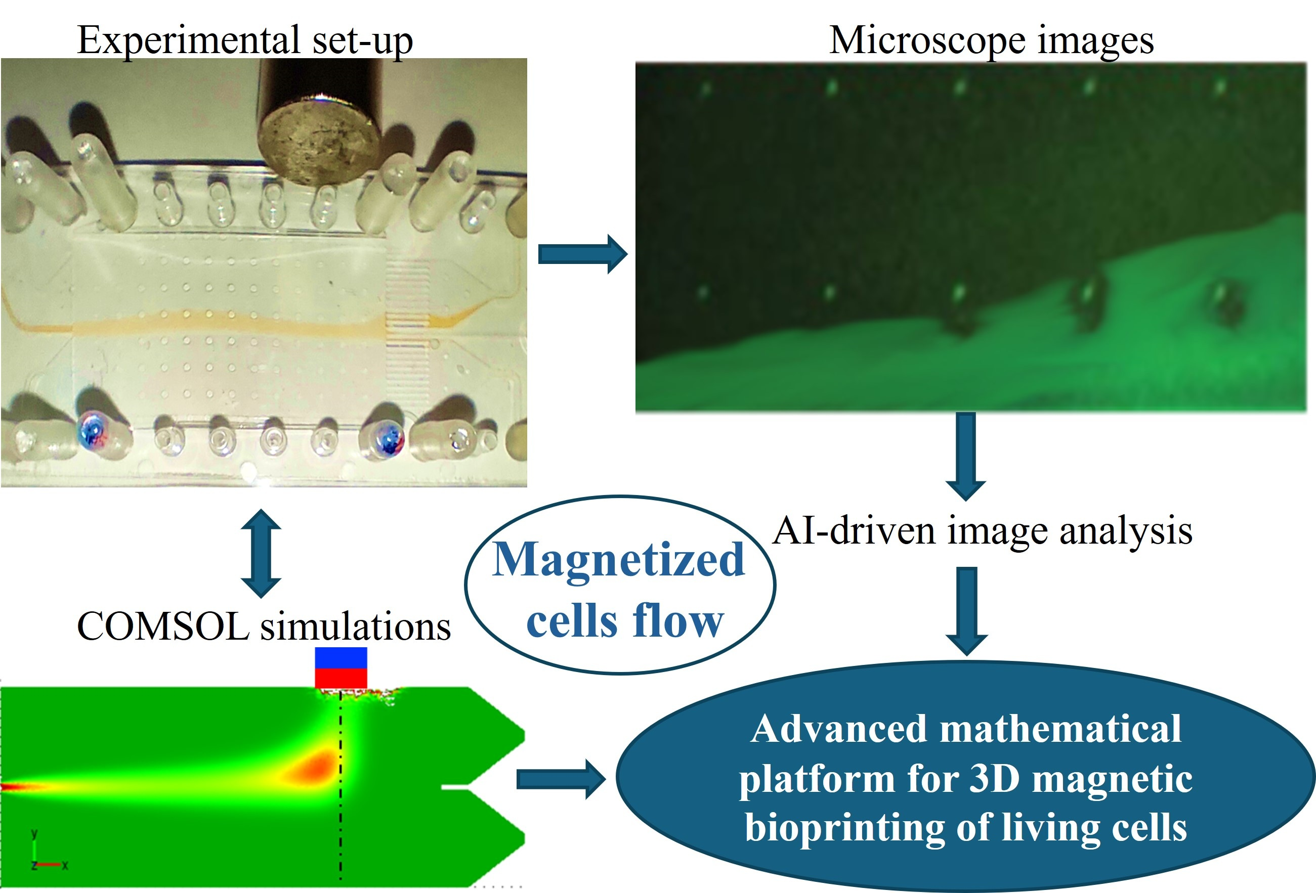 Advanced Mathematical Platform for the Control and Manipulation of ...