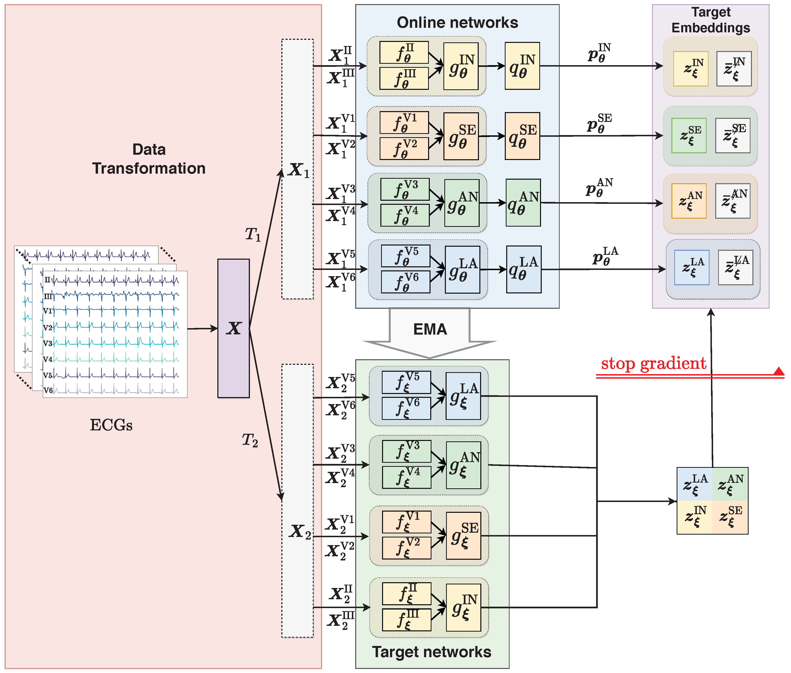 WAVE: Wall-Aligned Vector Embedding for Self-Supervised Learning of ...