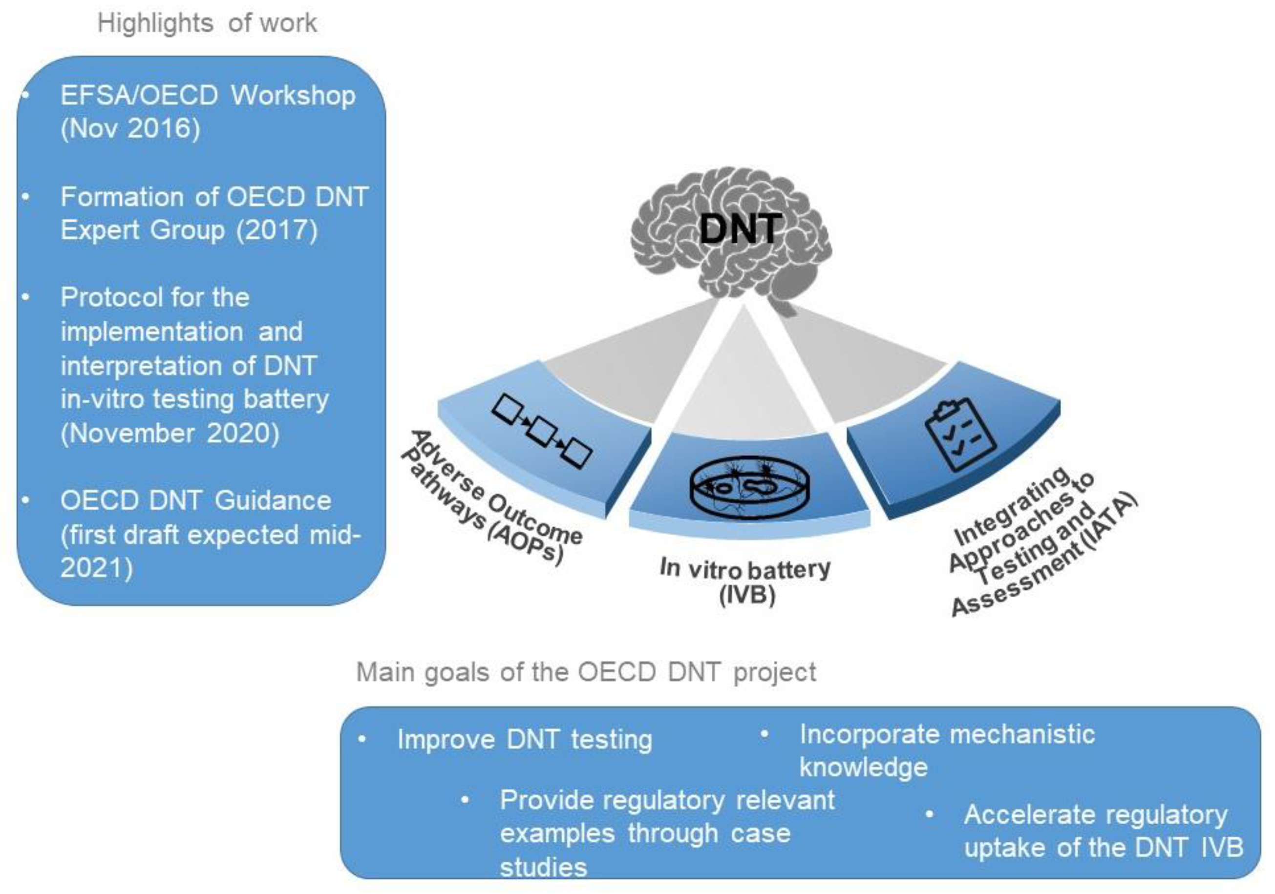 Biology | Free Full-Text | Toward a Better Testing Paradigm for  Developmental Neurotoxicity: OECD Efforts and Regulatory Considerations