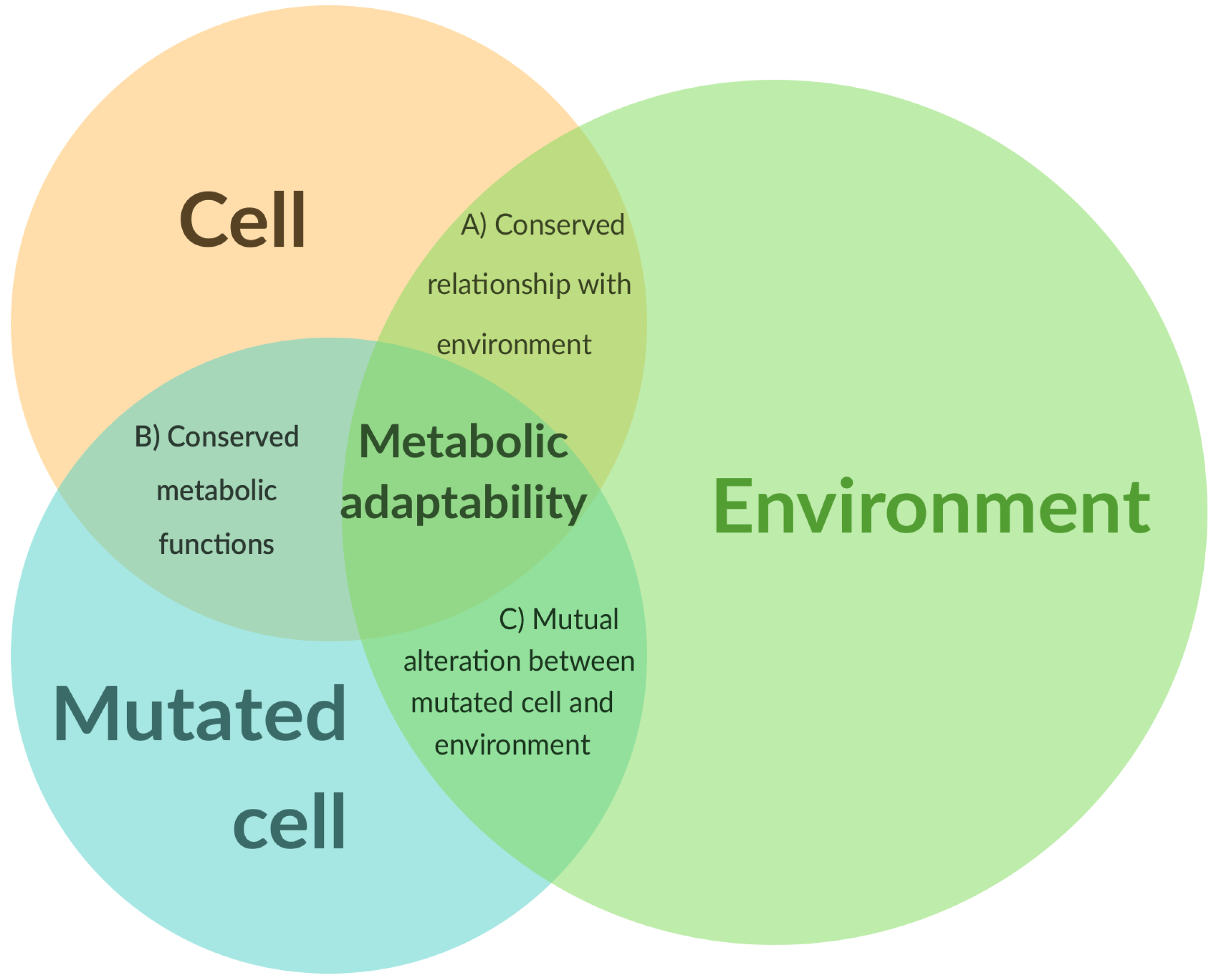 Biology Free Full-Text Metabolic Reprogramming, Questioning, and Implications for Cancer