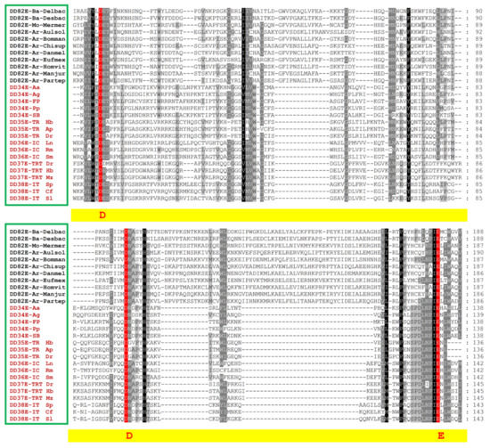 harueiページ Prokaryotic and Eukaryotic Horizontal Transfer of Sailor