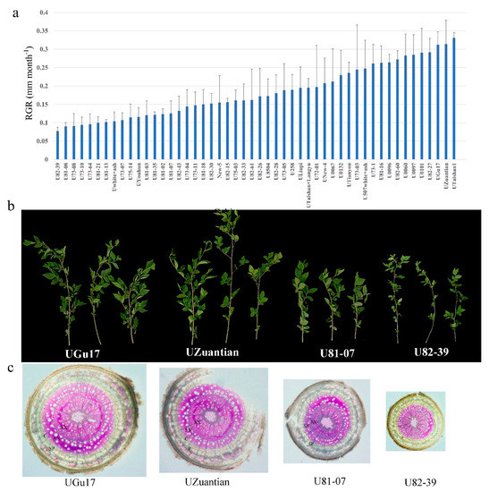 Comparative Transcriptome Analysis Reveals Candidate Genes and Pathways ...