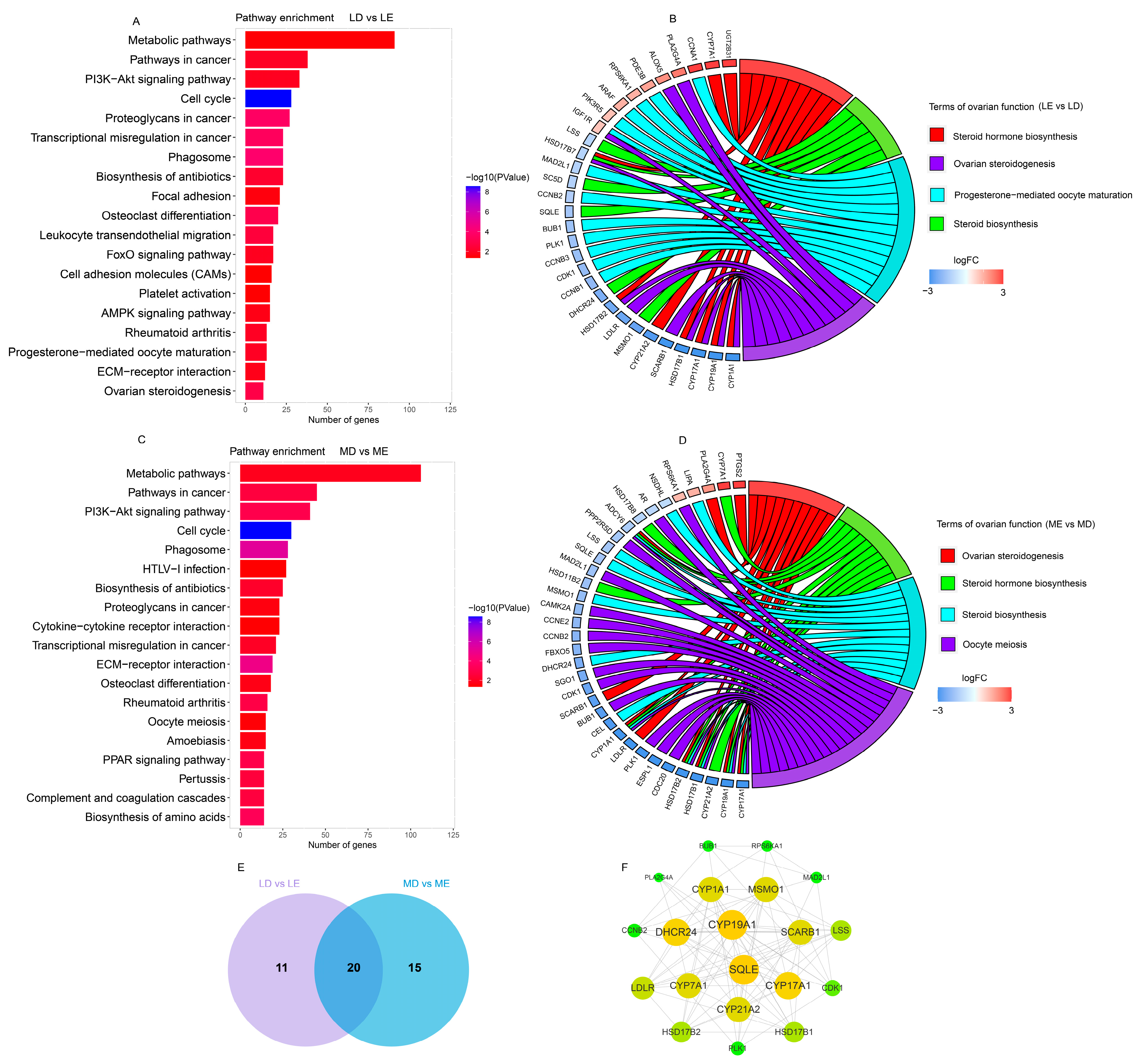 Biology | Free Full-Text | Comprehensive Transcriptome Analysis of 