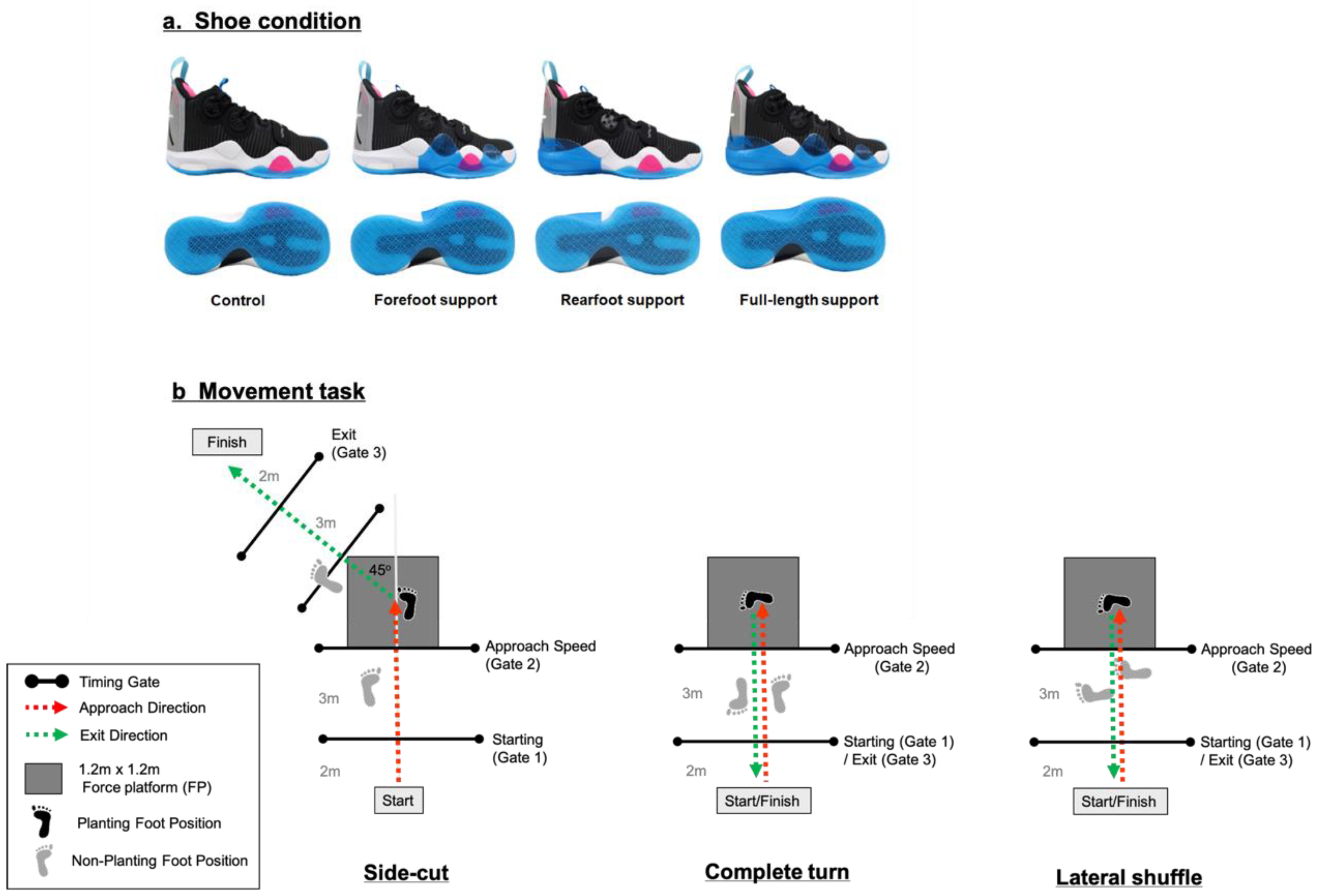 Biology Free Full-Text Does the Location of Shoe Upper Support on Basketball Shoes Influence Ground Reaction Force and Ankle Mechanics during Cutting Maneuvers?