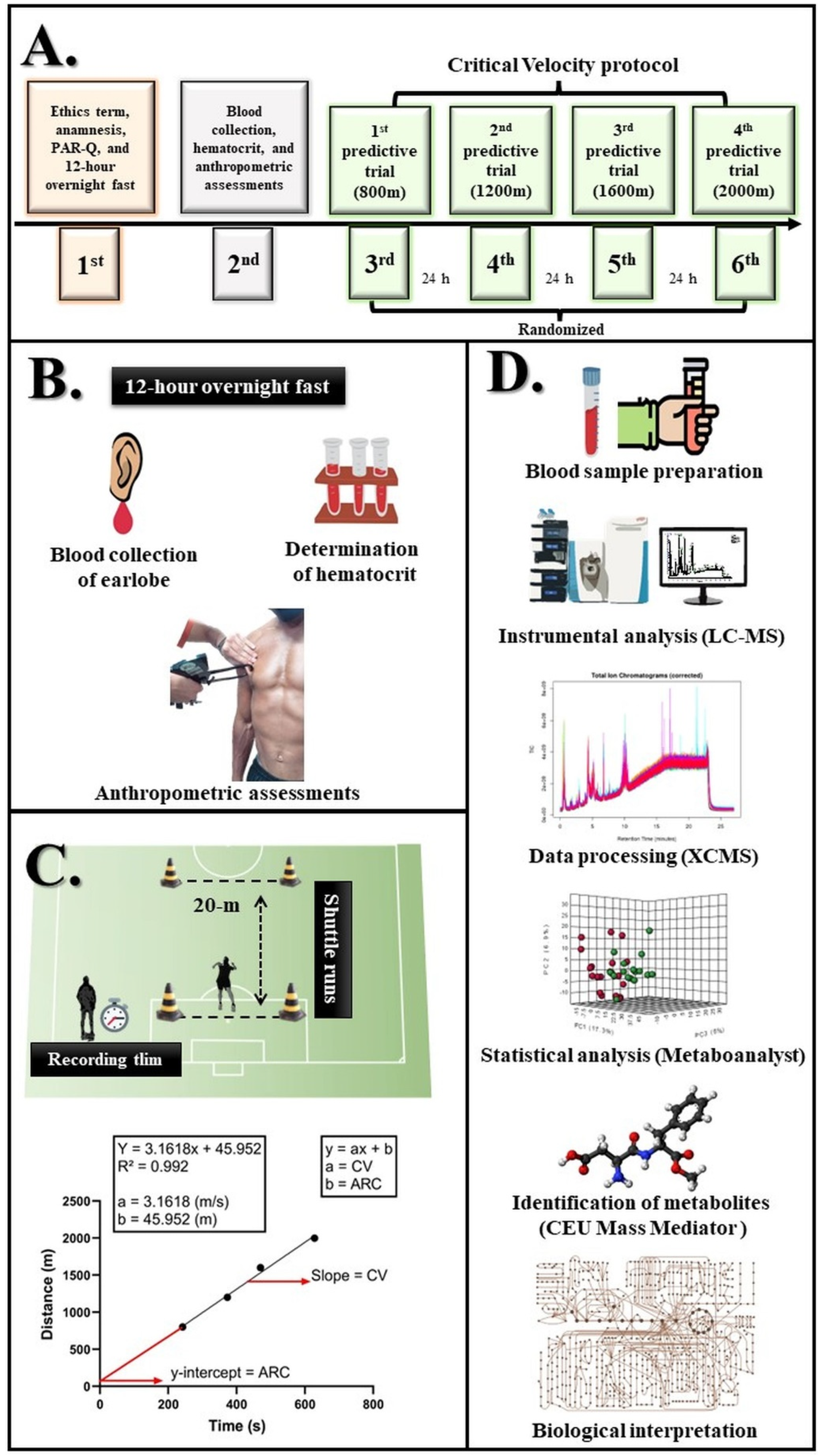 Biology Free Full-Text A Metabolomic Approach and Traditional Physical Assessments to Compare U22 Soccer Players According to Their Competitive Level