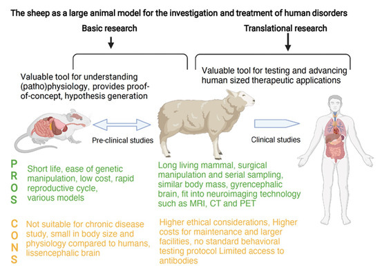 Samling Dog Sex Videos - Biology | Free Full-Text | The Sheep as a Large Animal Model for the  Investigation and Treatment of Human Disorders