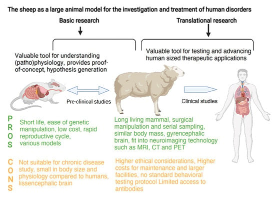Biology | Free Full-Text | The Sheep as a Large Animal Model for the  Investigation and Treatment of Human Disorders