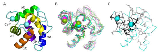 Biology | Free Full-Text | Comprehensive Sequence Analysis of ...