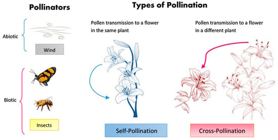 Biology | Free Full-Text | Artificial Intelligence-Based Robust Hybrid ...