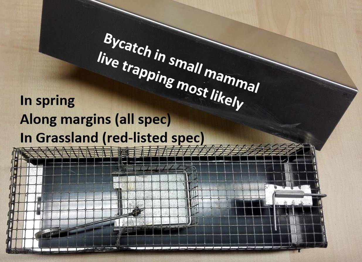 Types of live cage traps used in the study: (a) custom-made trap