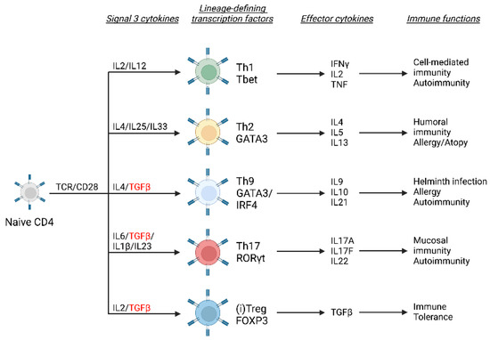 Regulation of T Cell Activation and Metabolism by Transforming Growth ...