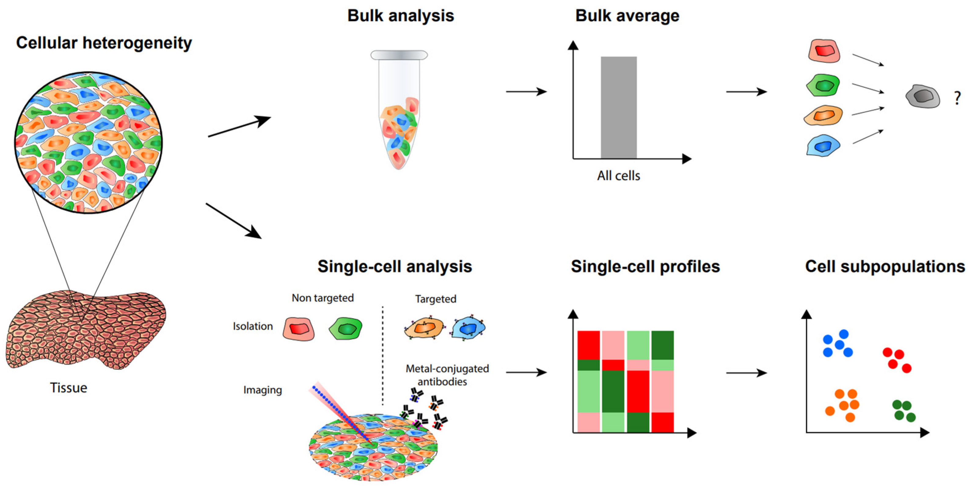 Biology Free Full-Text Advances in Mass Spectrometry-Based Single Cell Analysis picture pic