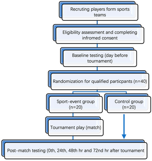Understanding Tournaments and Leagues – Human Kinetics