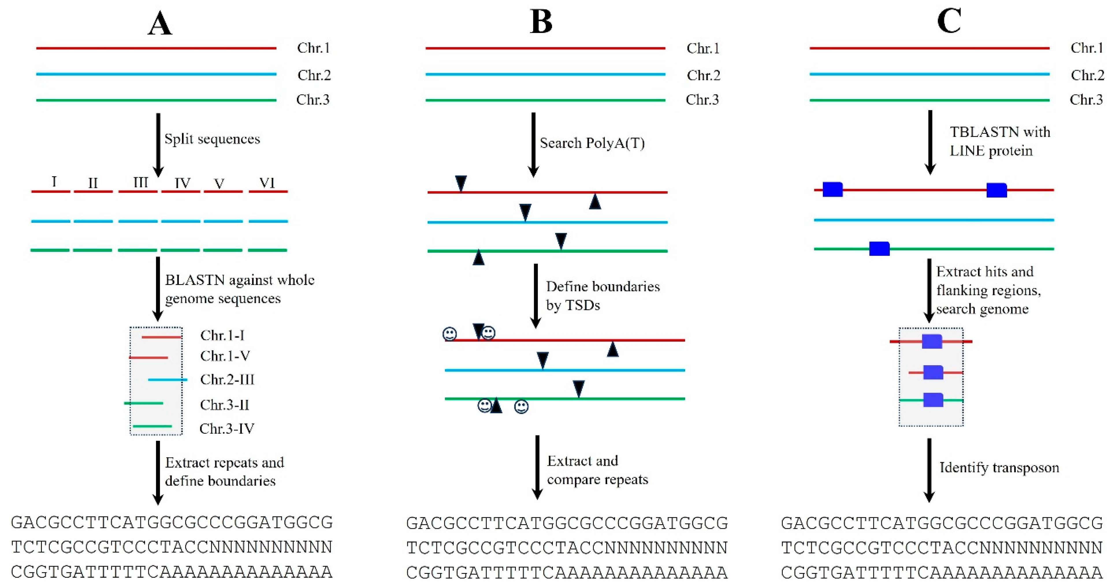 Biology | Free Full-Text | Introduction of Plant Transposon Annotation ...