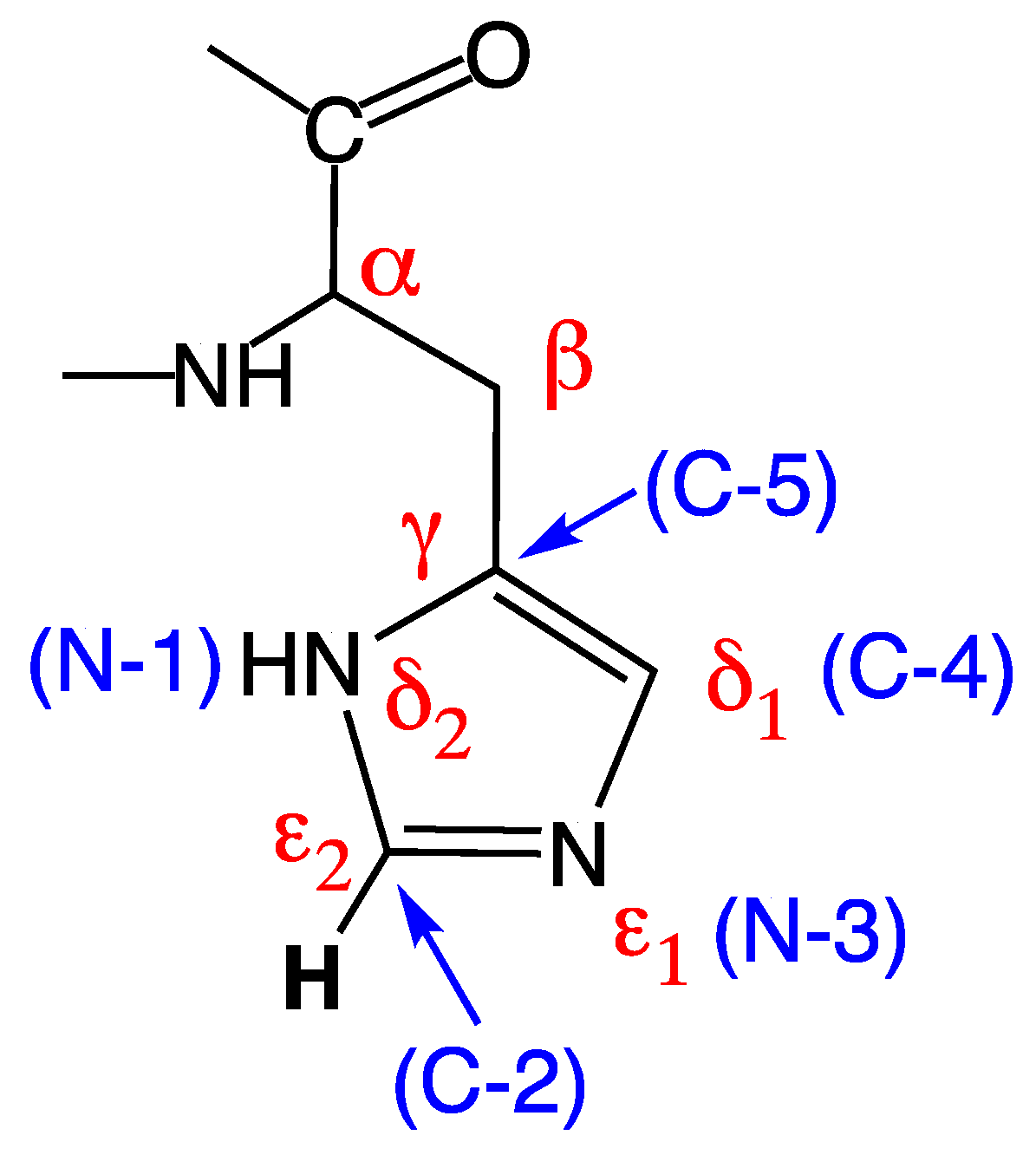 Biology Free Full Text Significance of Histidine