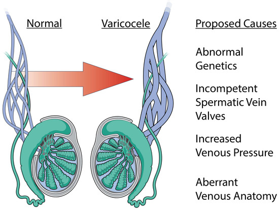 Biology Special Issue Male Disorders Fertility Care And Support Biology Special Issue Male Disorders Fertility Care And Support