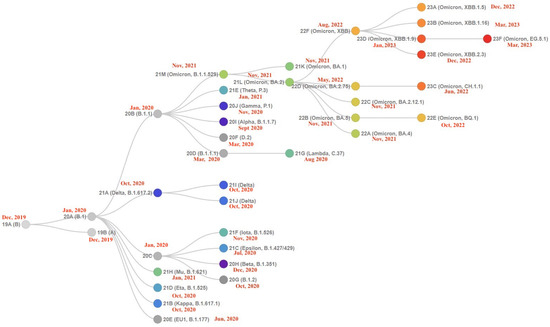 The Omicron XBB.1 Variant and Its Descendants: Genomic Mutations, Rapid ...