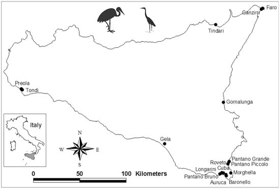 Waterbird Species Are Highly Sensitive to Wetland Traits: Simulation ...