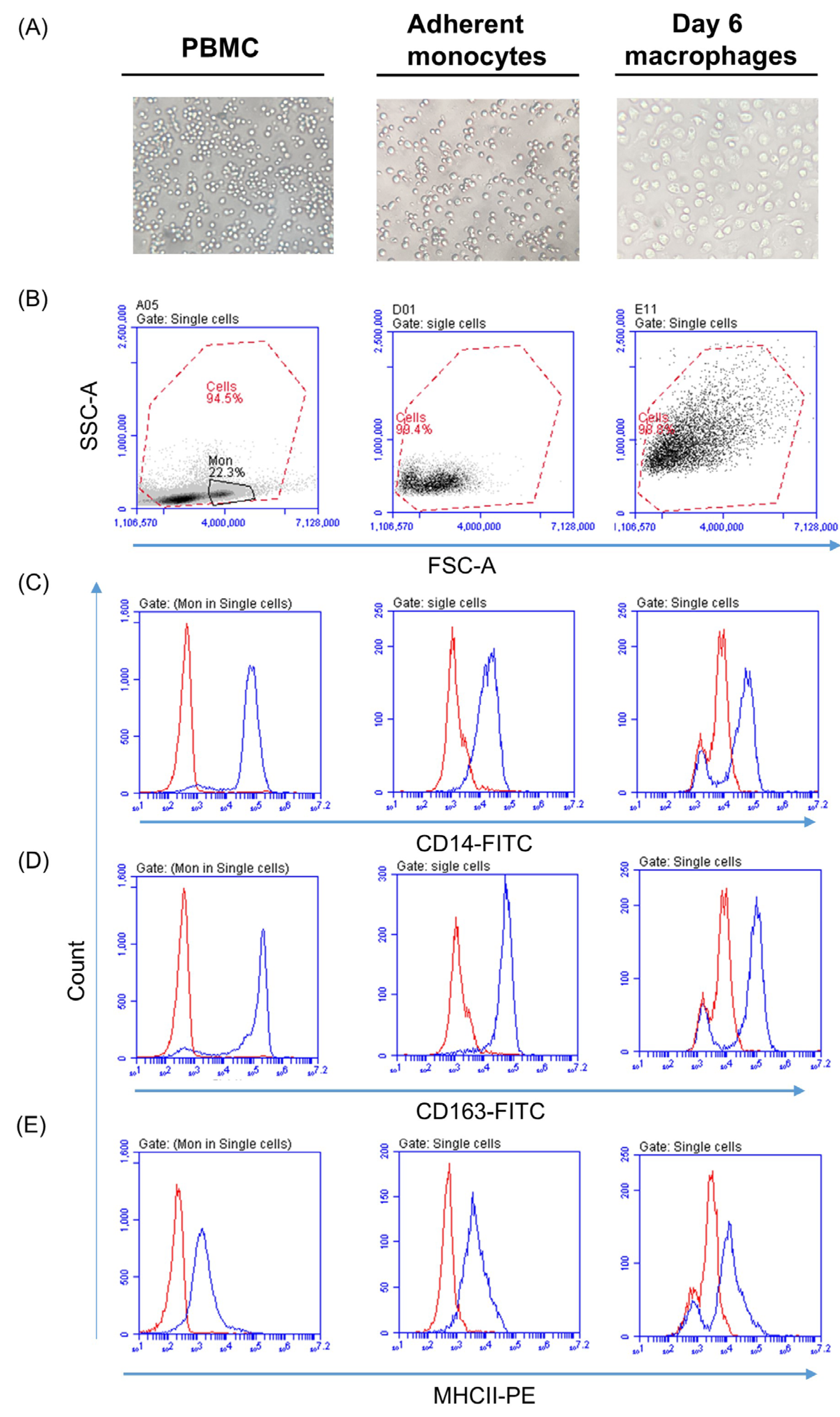 Modulatory Effects of the Recombinant Middle East Respiratory Syndrome ...