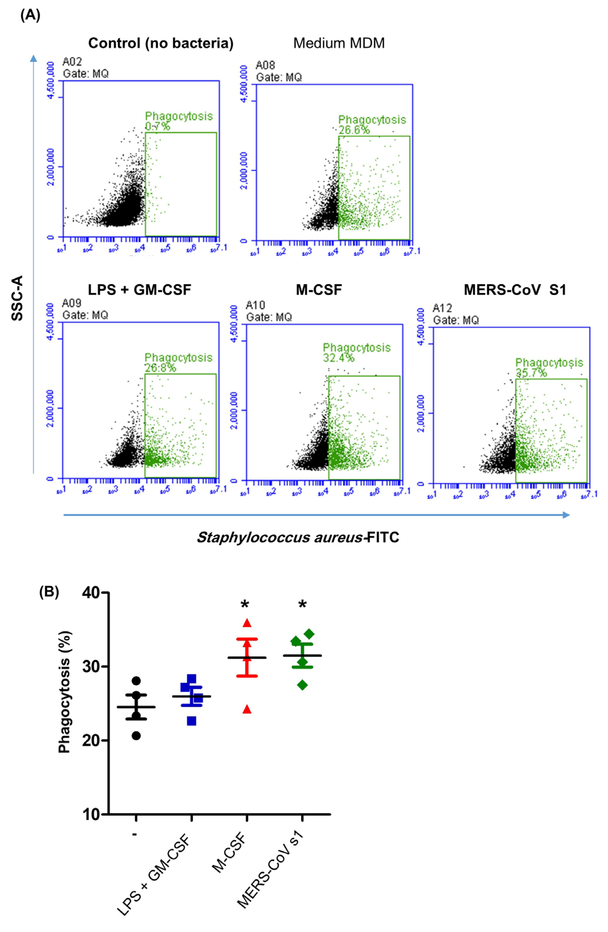 Modulatory Effects of the Recombinant Middle East Respiratory Syndrome ...