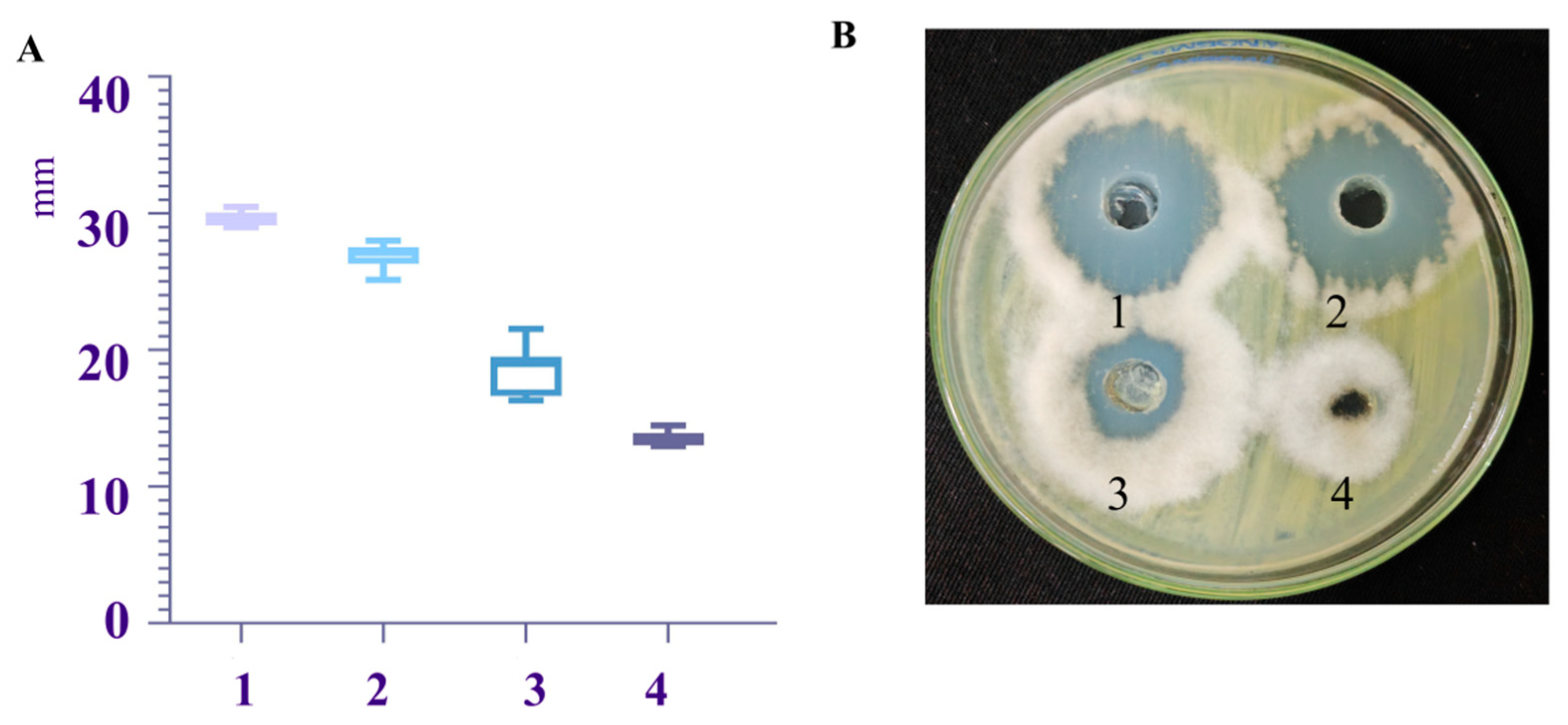 高質 Effect Biocontrol and Bacillus of Mechanism Antibacterial 洋楽