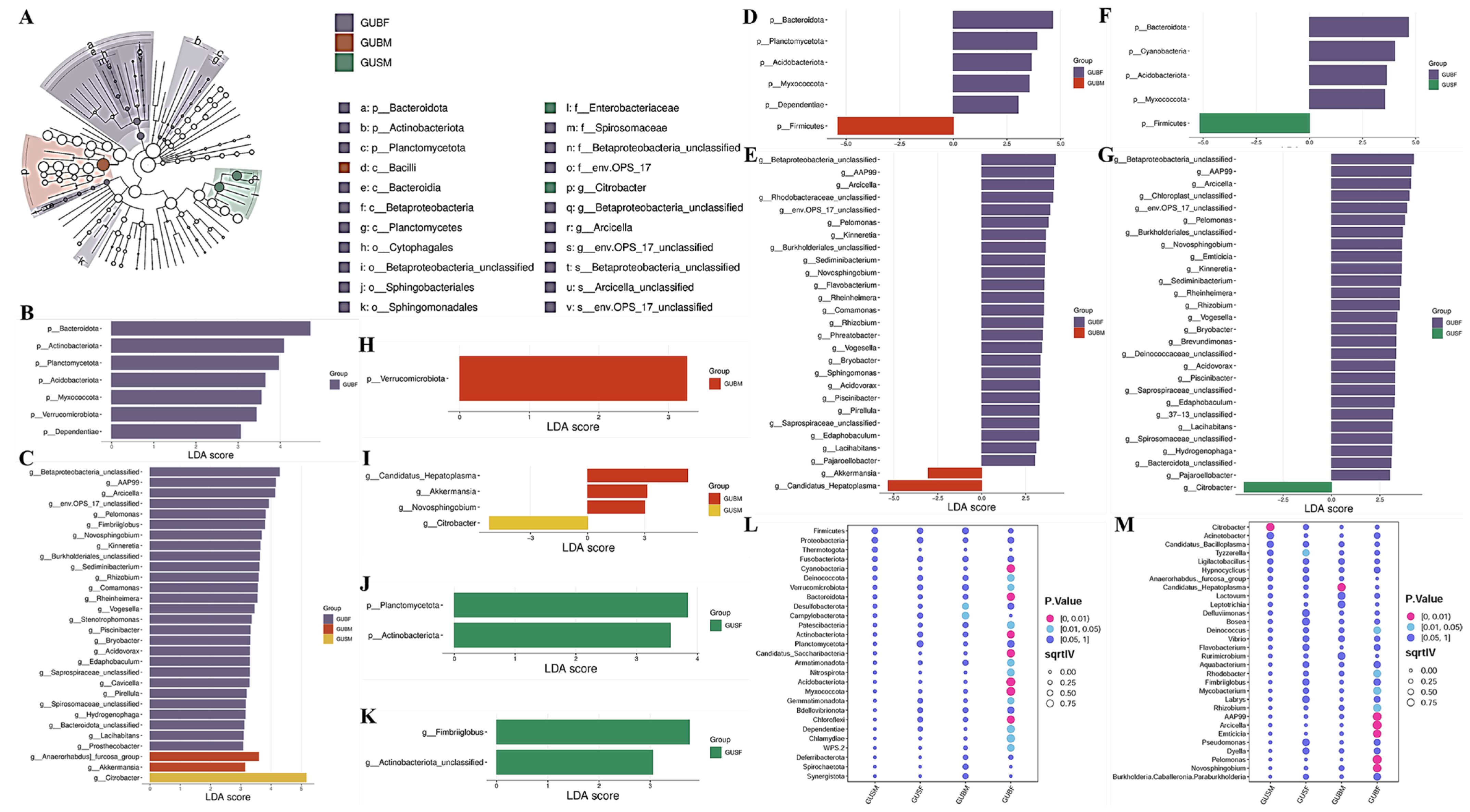 Key Differences in the Gut Microbiota of Red-Claw Crayfish