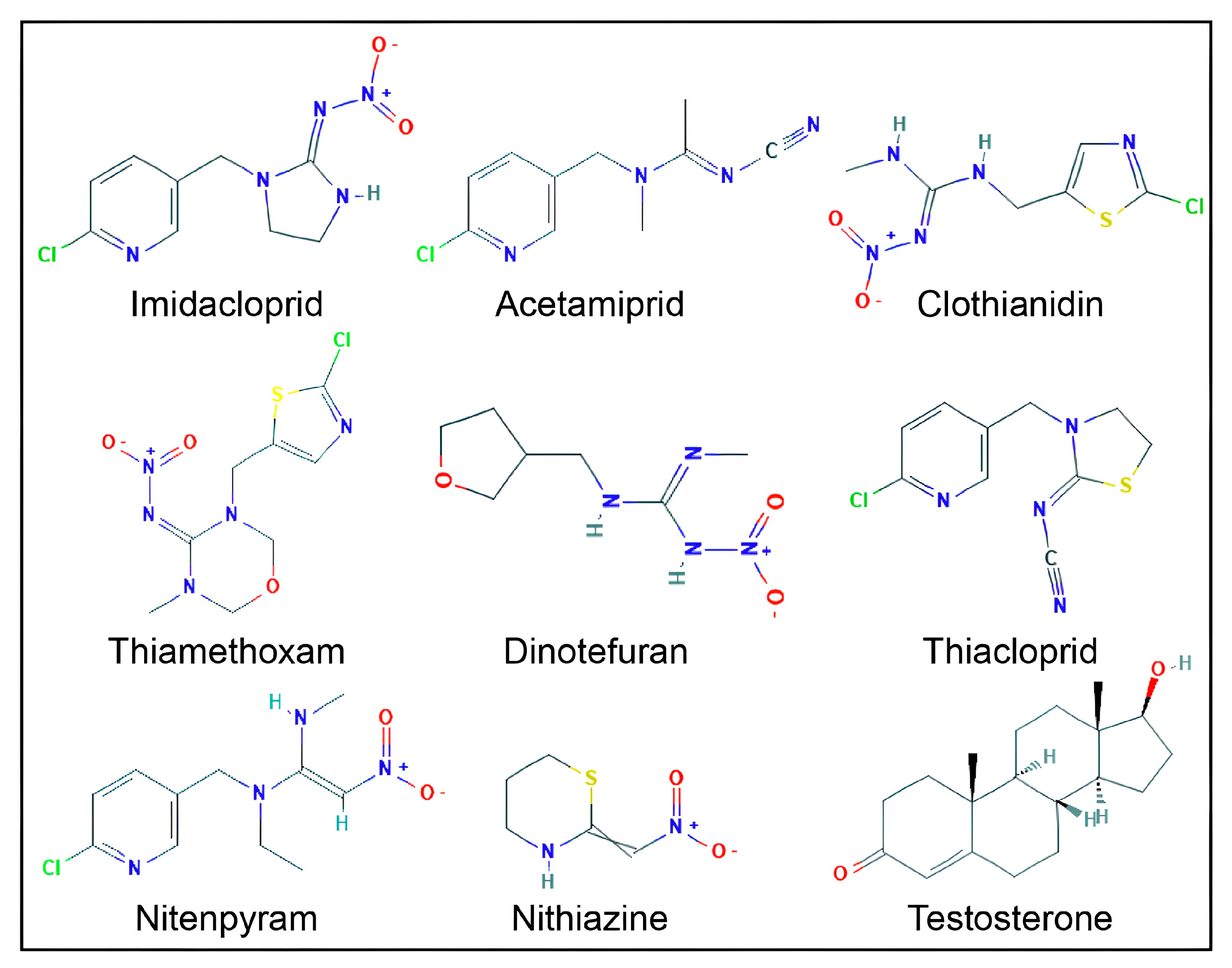 Neonicotinoids and the Androgen Receptor: Structural Dynamics and ...
