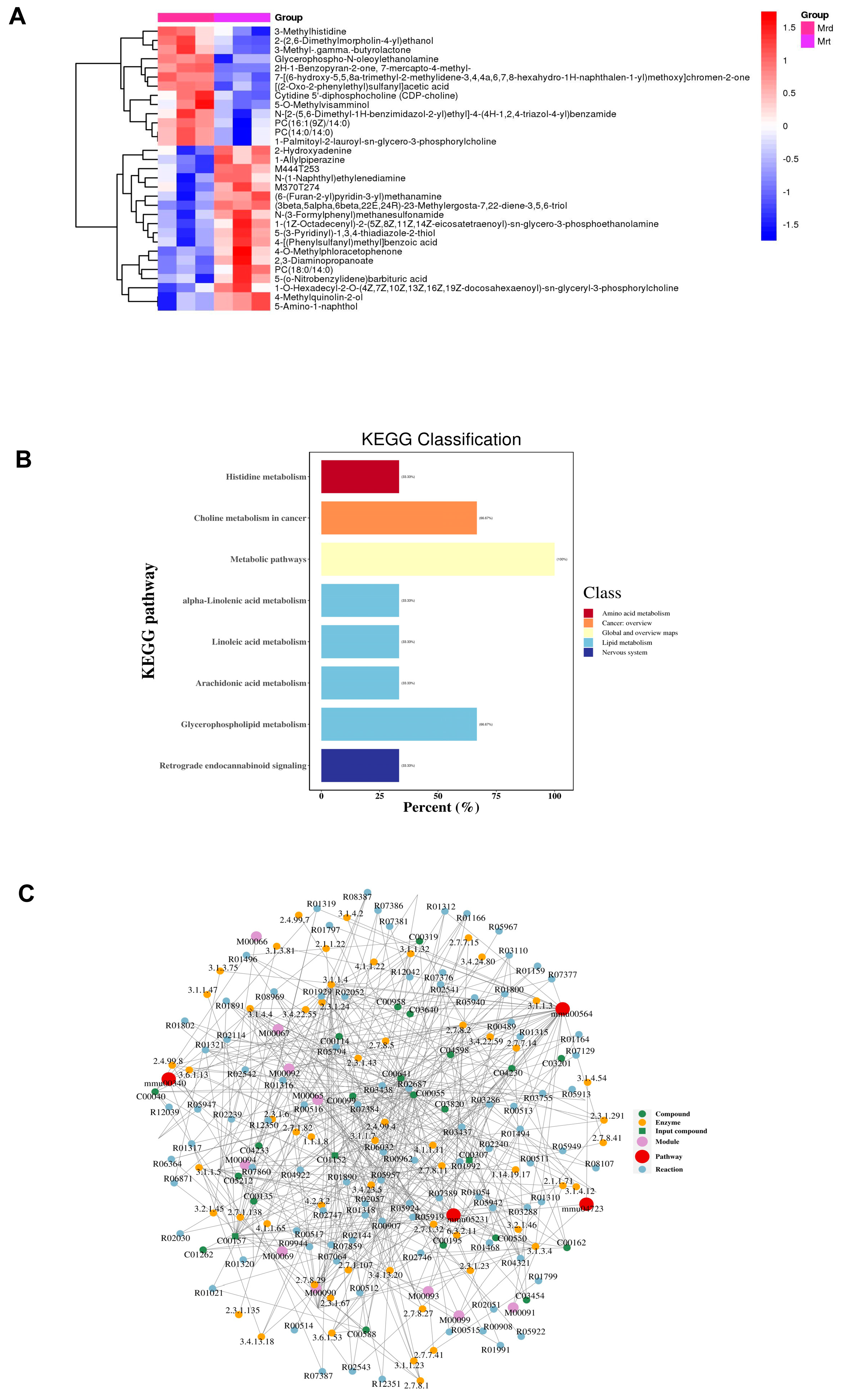 ORY-1001 Delays Retinal Photoreceptor Degeneration in rd10 Mice by ...