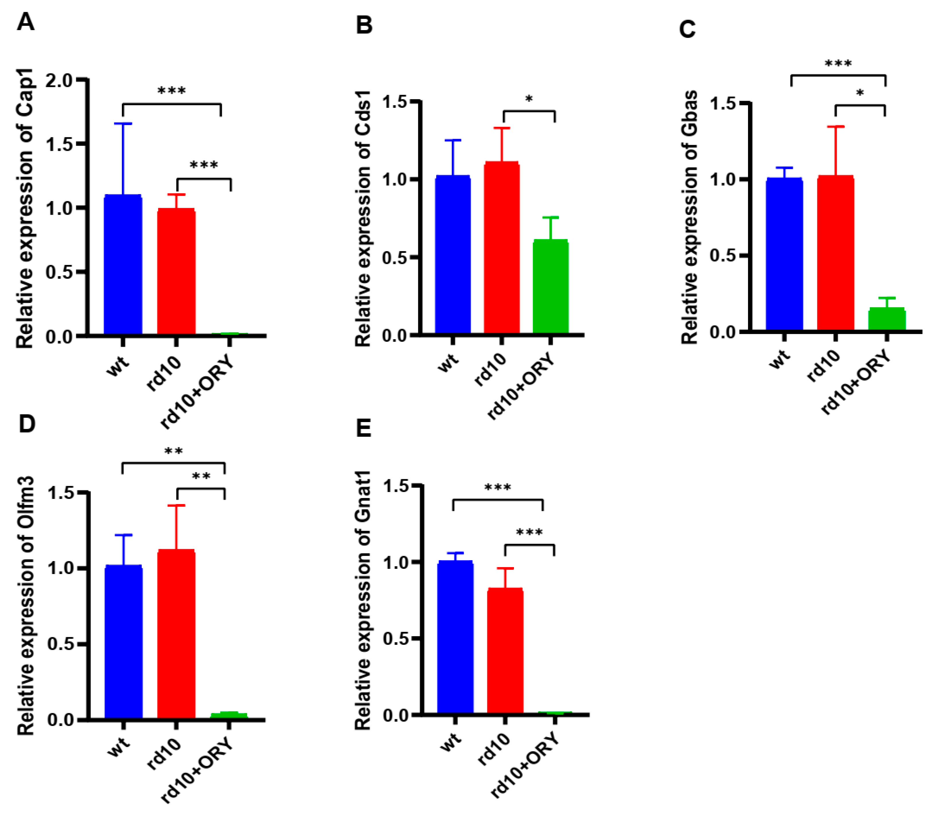 ORY-1001 Delays Retinal Photoreceptor Degeneration in rd10 Mice by ...