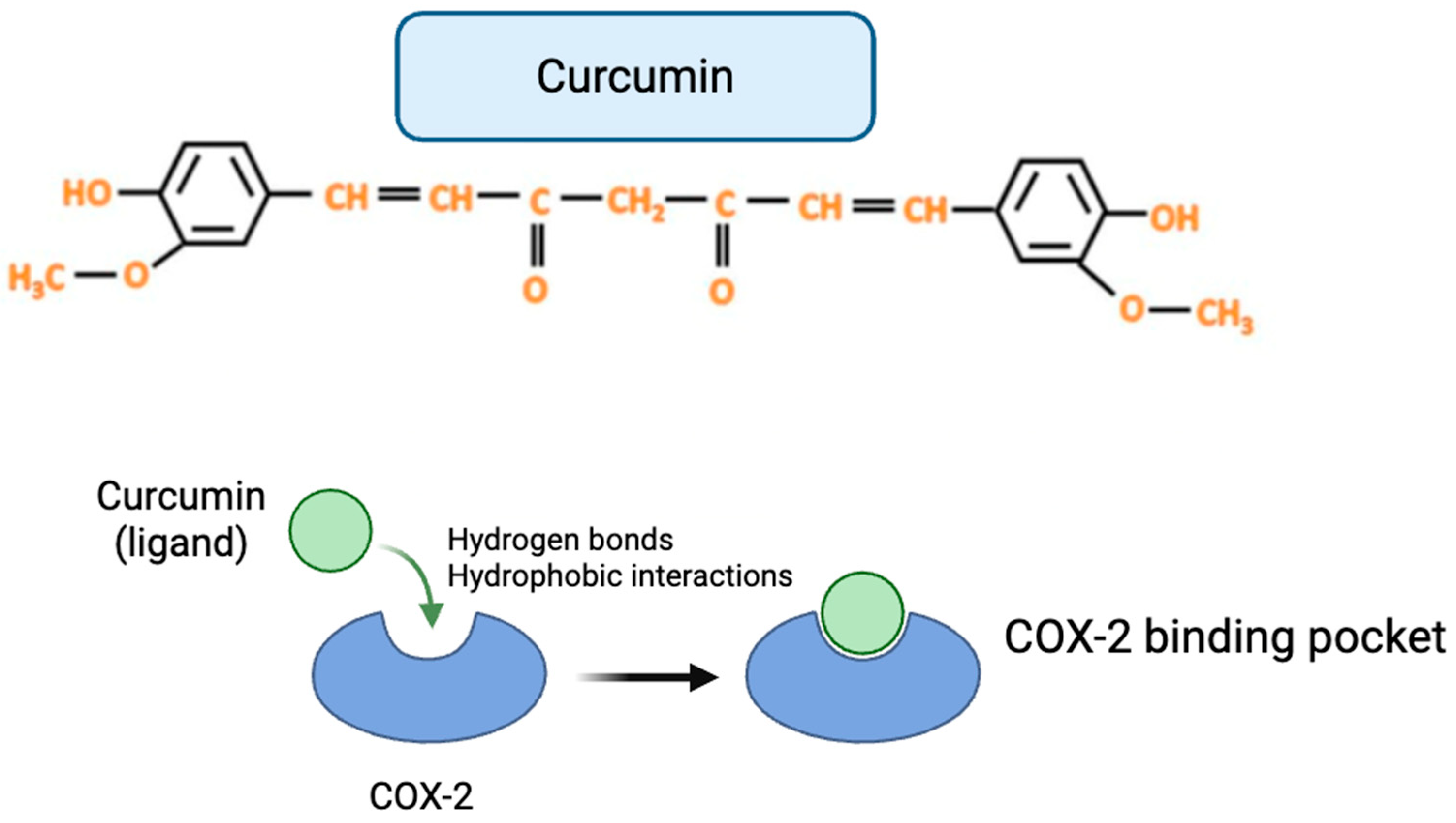 Impact of Curcuma longa on Hematopoiesis and Splenic Mass in an Animal ...